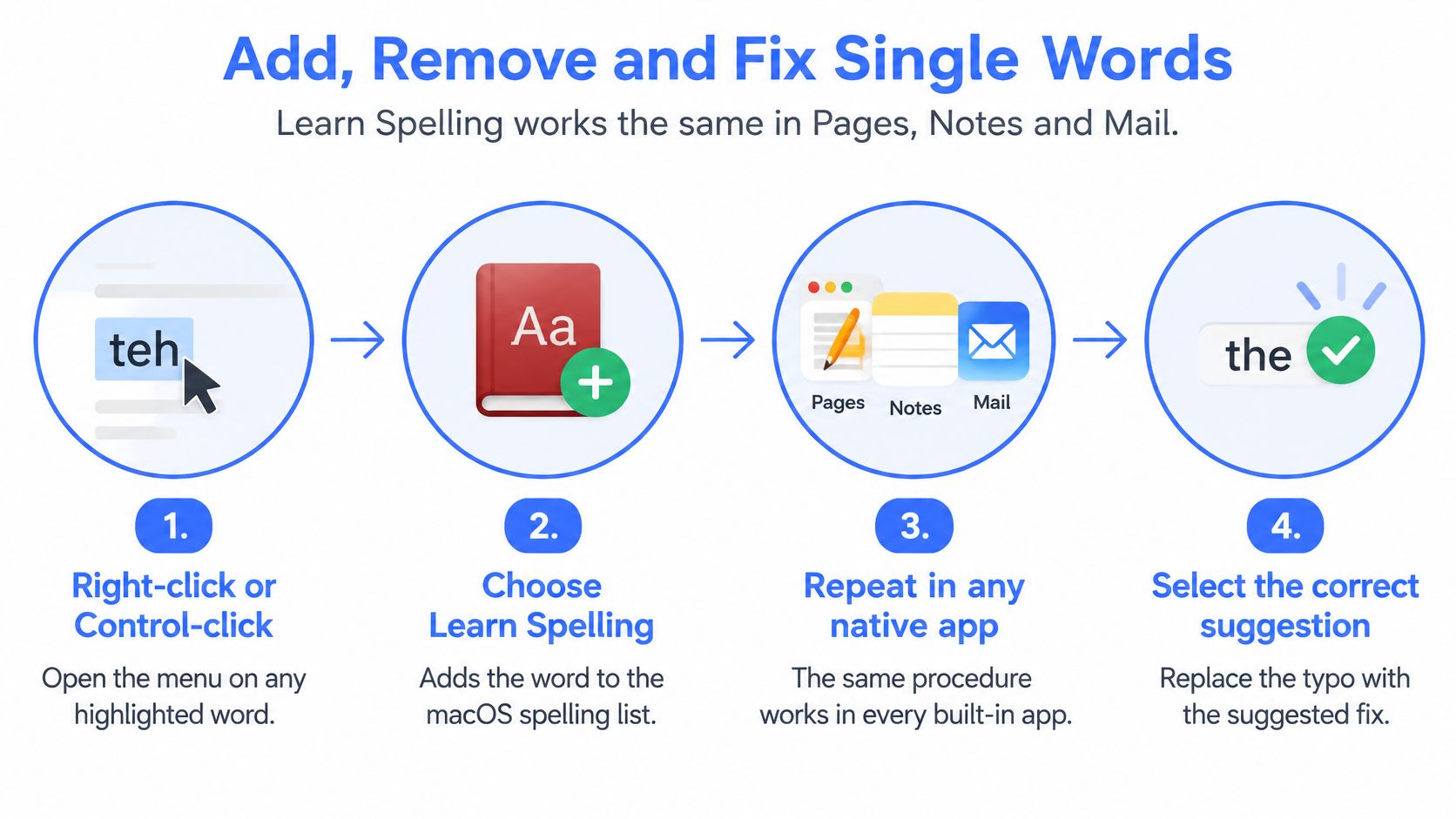 A step-by-step instructional graphic showing how to add, remove, and fix words in the macOS custom dictionary.