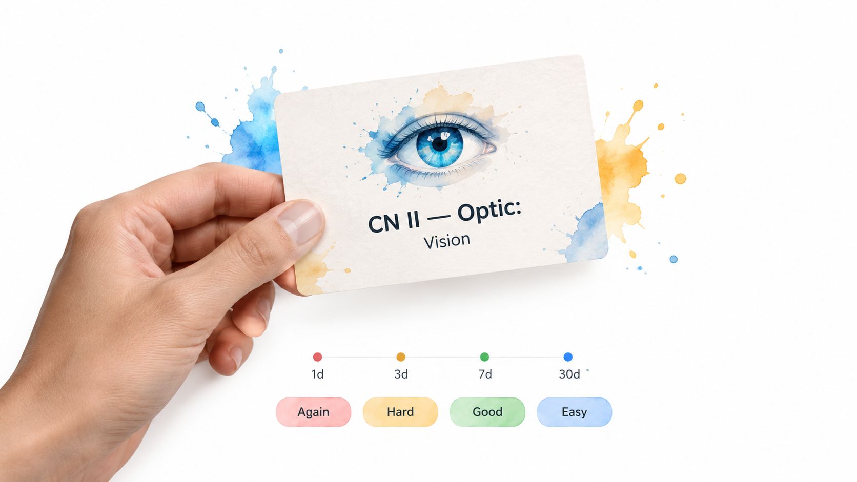 A hand holding a study flashcard for the optic nerve labeled CN II with vision text.