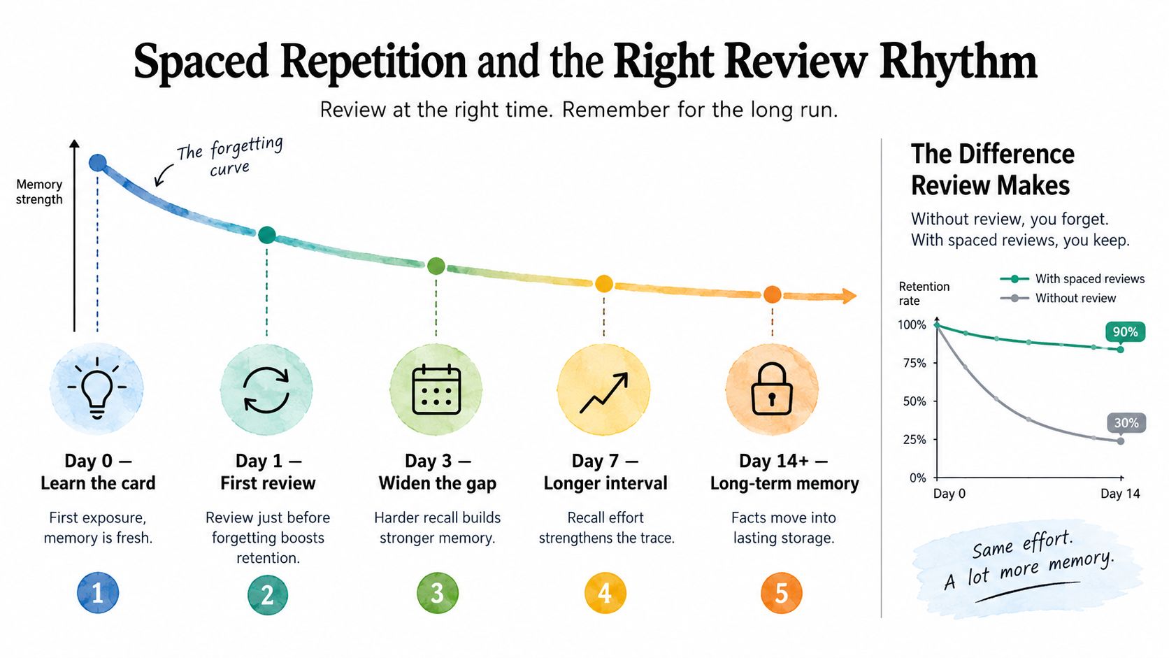 A diagram illustrating spaced repetition, showing how to review flashcards at increasing intervals to improve memory retention.