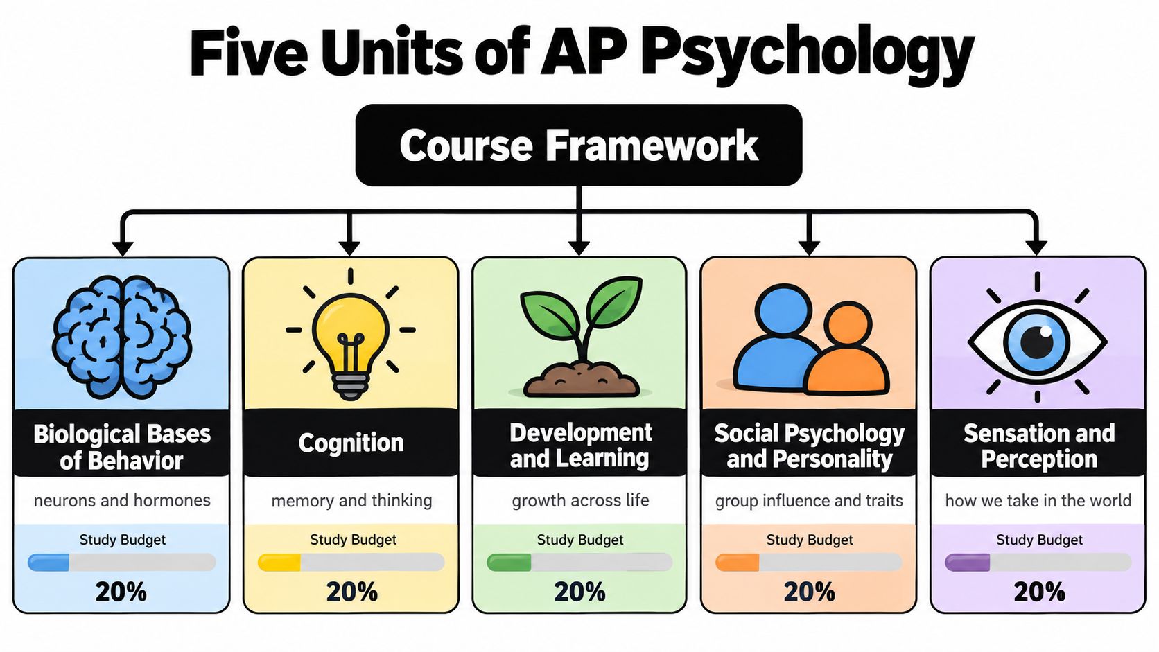 A diagram outlining five key units of AP Psychology including Biological Bases, Cognition, Development, Social Psychology, and Sensation.
