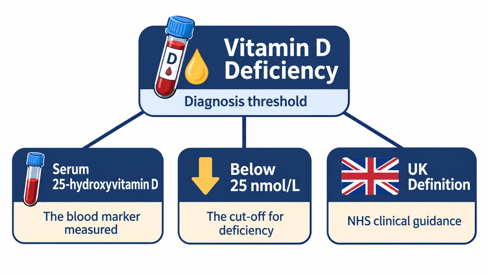 An infographic showing that vitamin D deficiency is diagnosed when serum 25-hydroxyvitamin D is below 25 nmol/L.