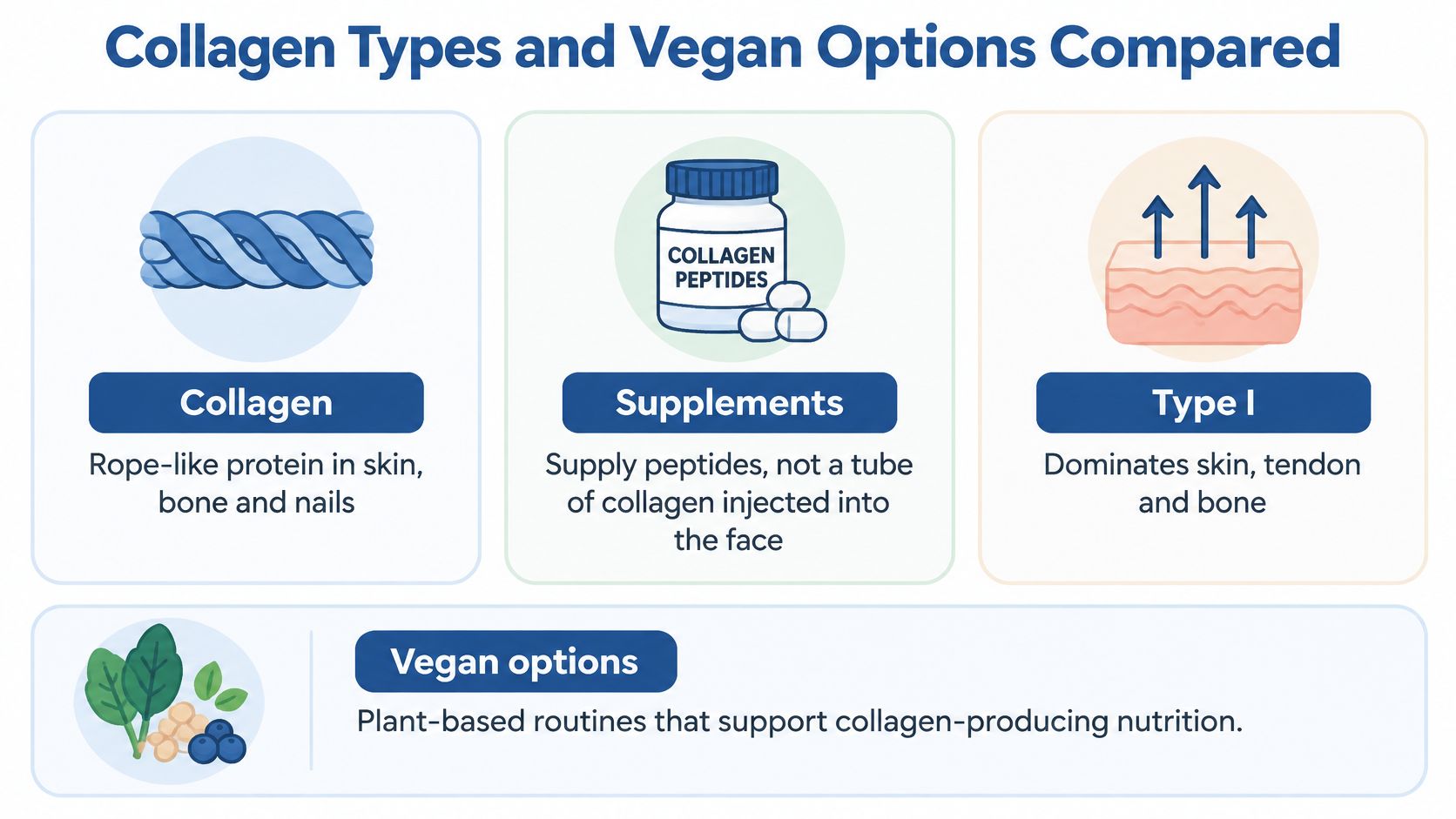 An infographic comparing collagen types, supplements, and plant-based vegan options for skin, bone, and nail health.