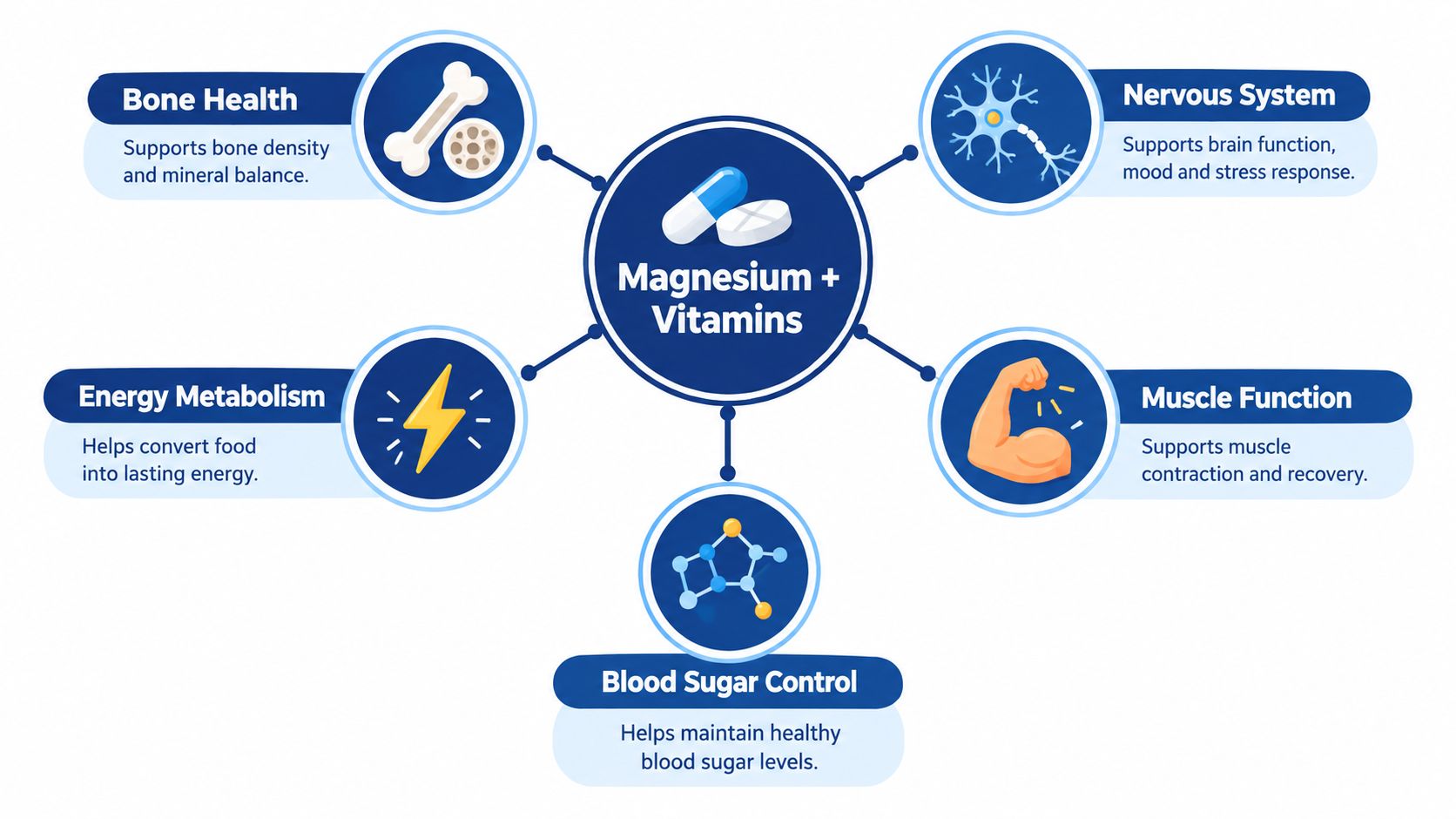 A diagram displaying the health benefits of a magnesium and vitamin supplement for various body systems.