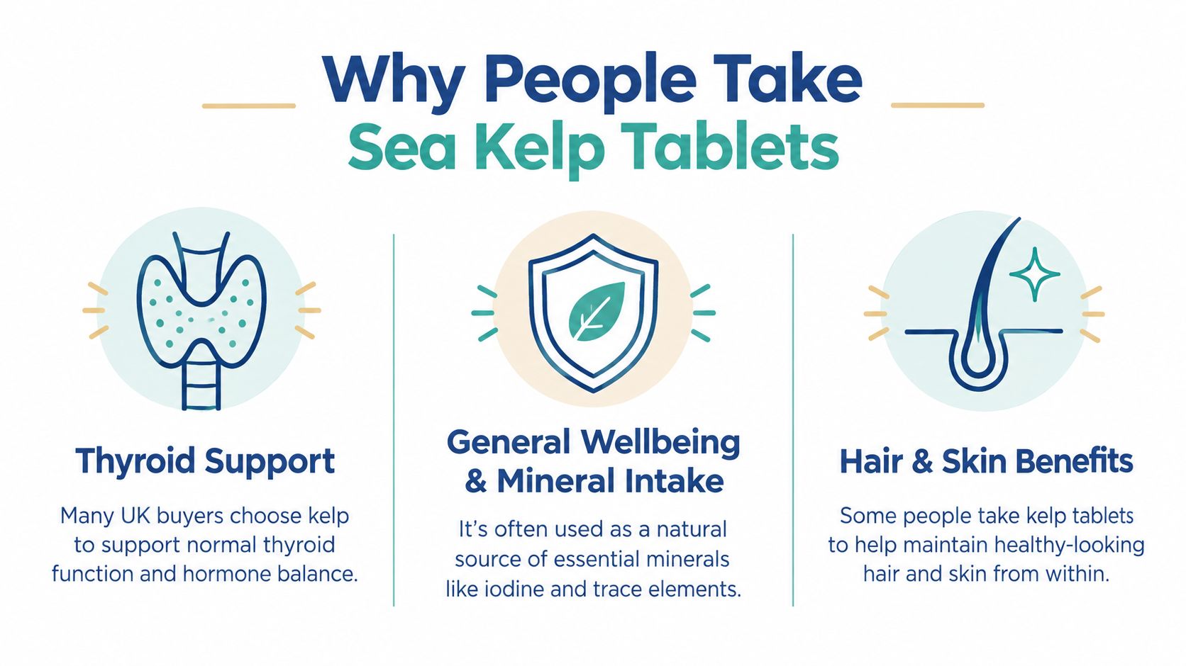 An infographic detailing three key health benefits of taking sea kelp tablets, including thyroid support and skin health.