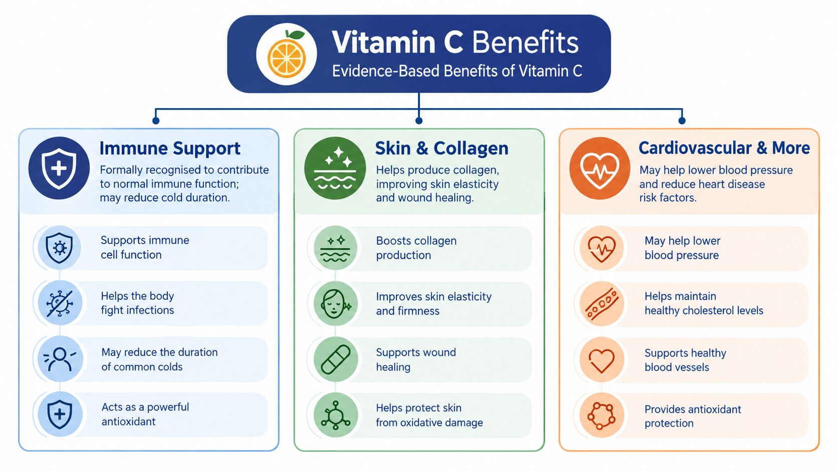 An infographic titled Vitamin C Benefits outlining its positive effects on immunity, skin, collagen, and cardiovascular health.
