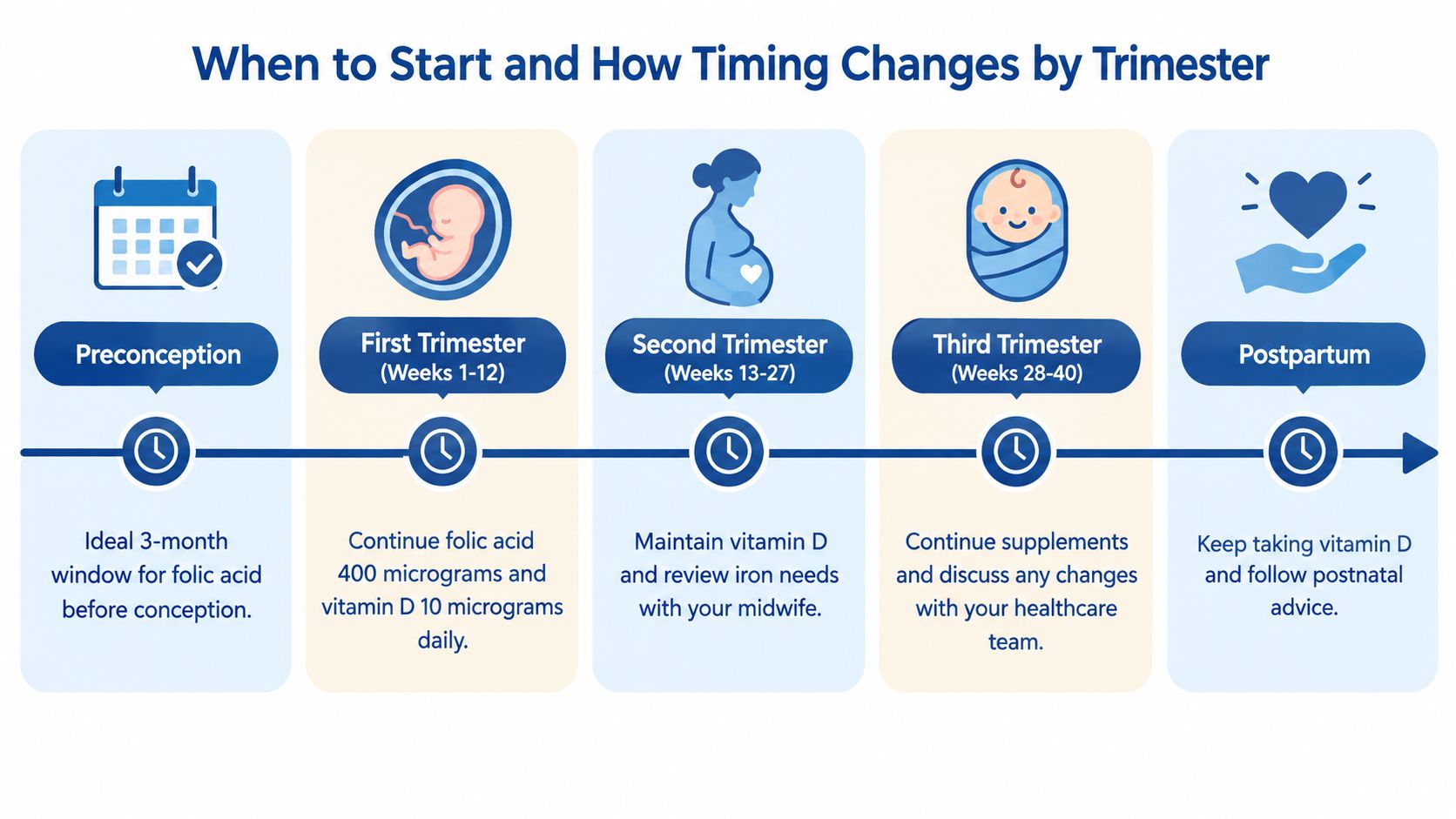 A timeline graphic showing nutritional advice and vitamin supplement recommendations throughout pregnancy stages from preconception to postpartum.