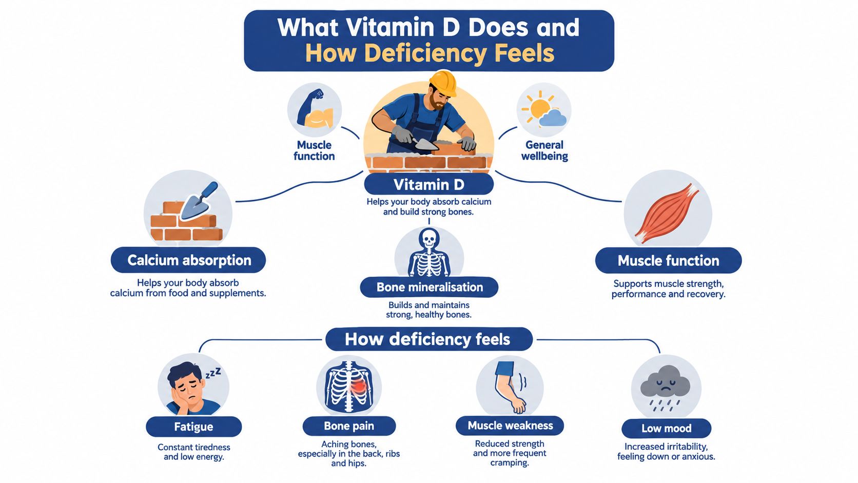 An infographic showing the benefits of Vitamin D and the common symptoms of a Vitamin D deficiency.