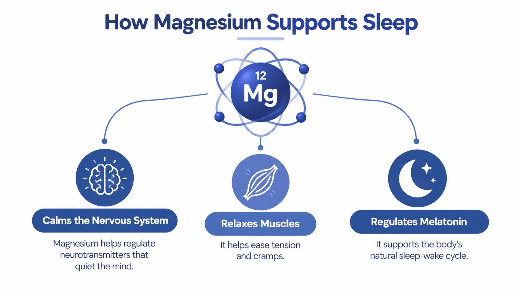 An infographic showing how magnesium supports sleep by calming the nervous system, relaxing muscles, and regulating melatonin.