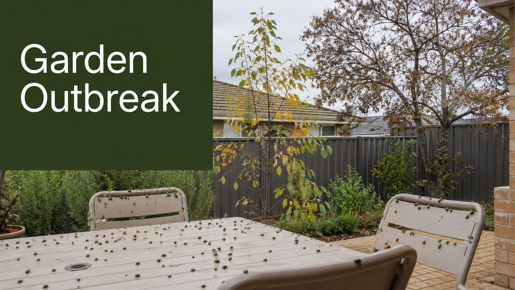 A backyard garden patio table and chairs covered in a large swarm of small green leaf beetles.