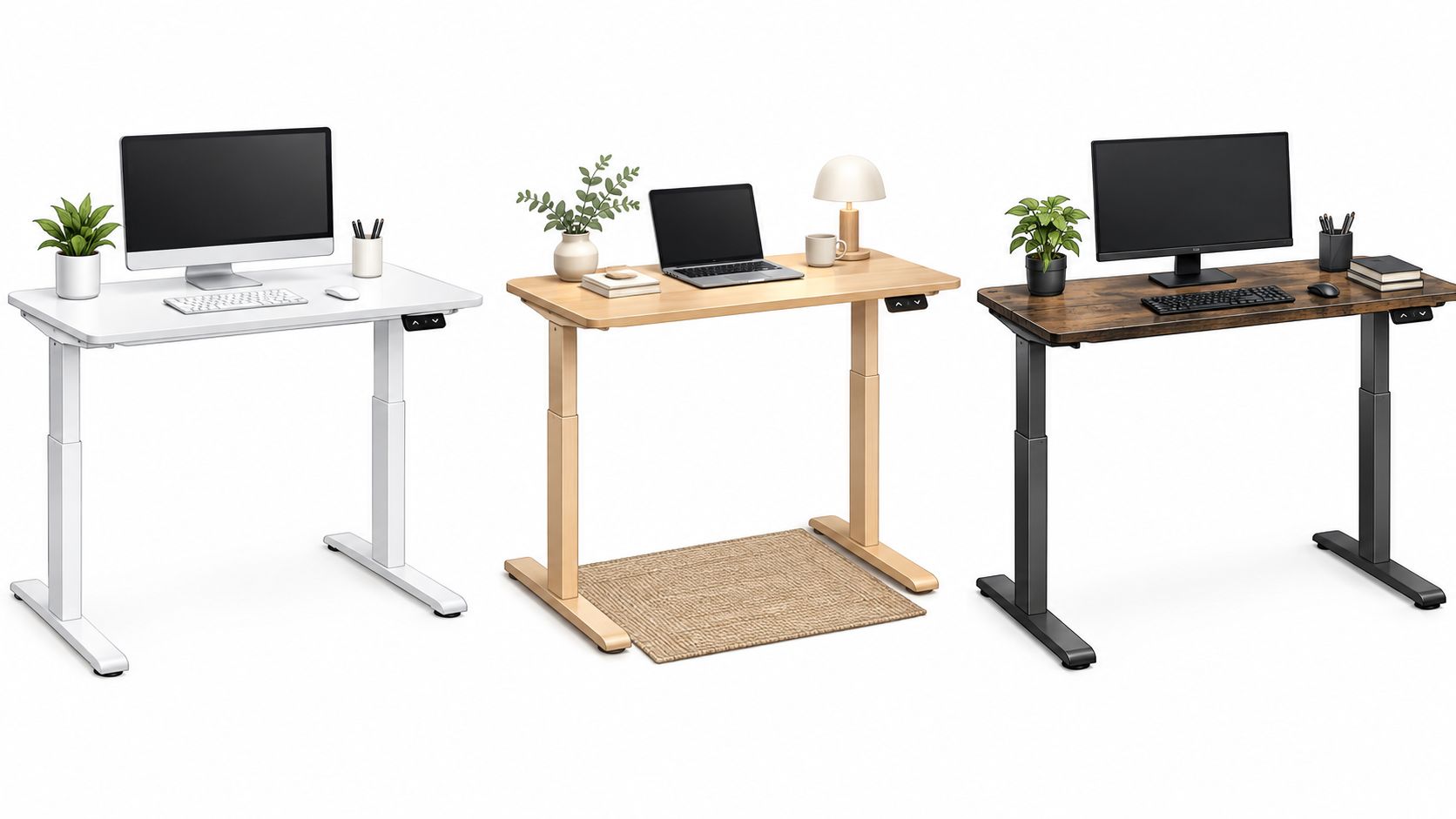 Drei höhenverstellbare Schreibtische in verschiedenen Farben mit Computern und Dekoration auf einem weißen Hintergrund präsentiert.