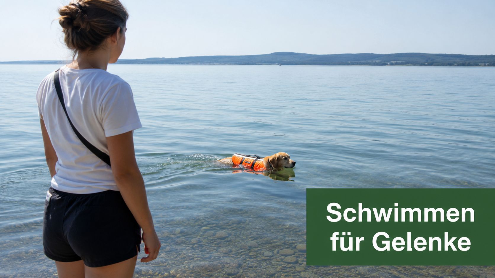 Eine Frau steht am Ufer eines Sees und beobachtet ihren Hund beim Schwimmen mit einer orangefarbenen Schwimmweste.
