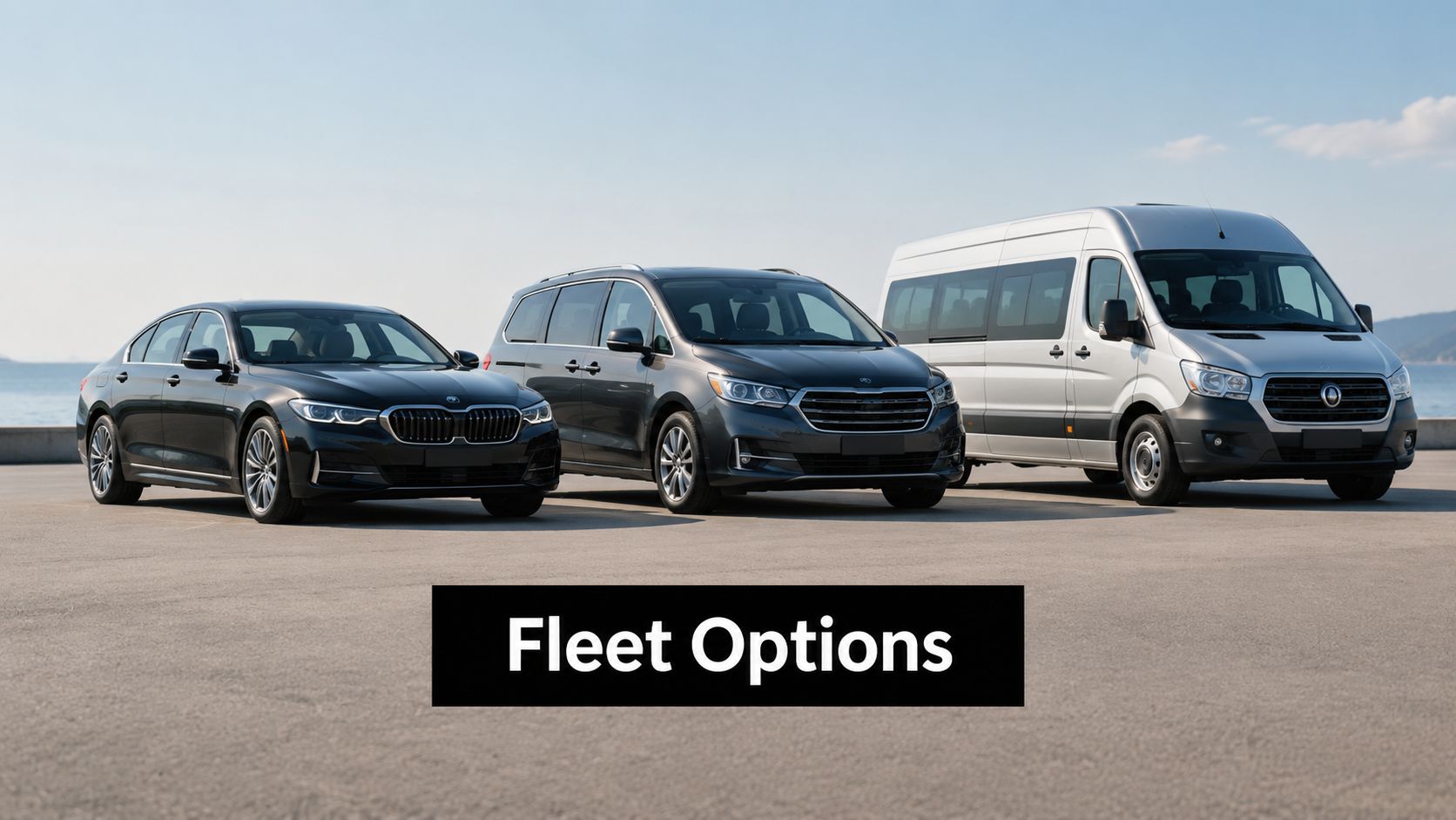 A line of three vehicles including a sedan, a minivan, and a passenger van parked together.