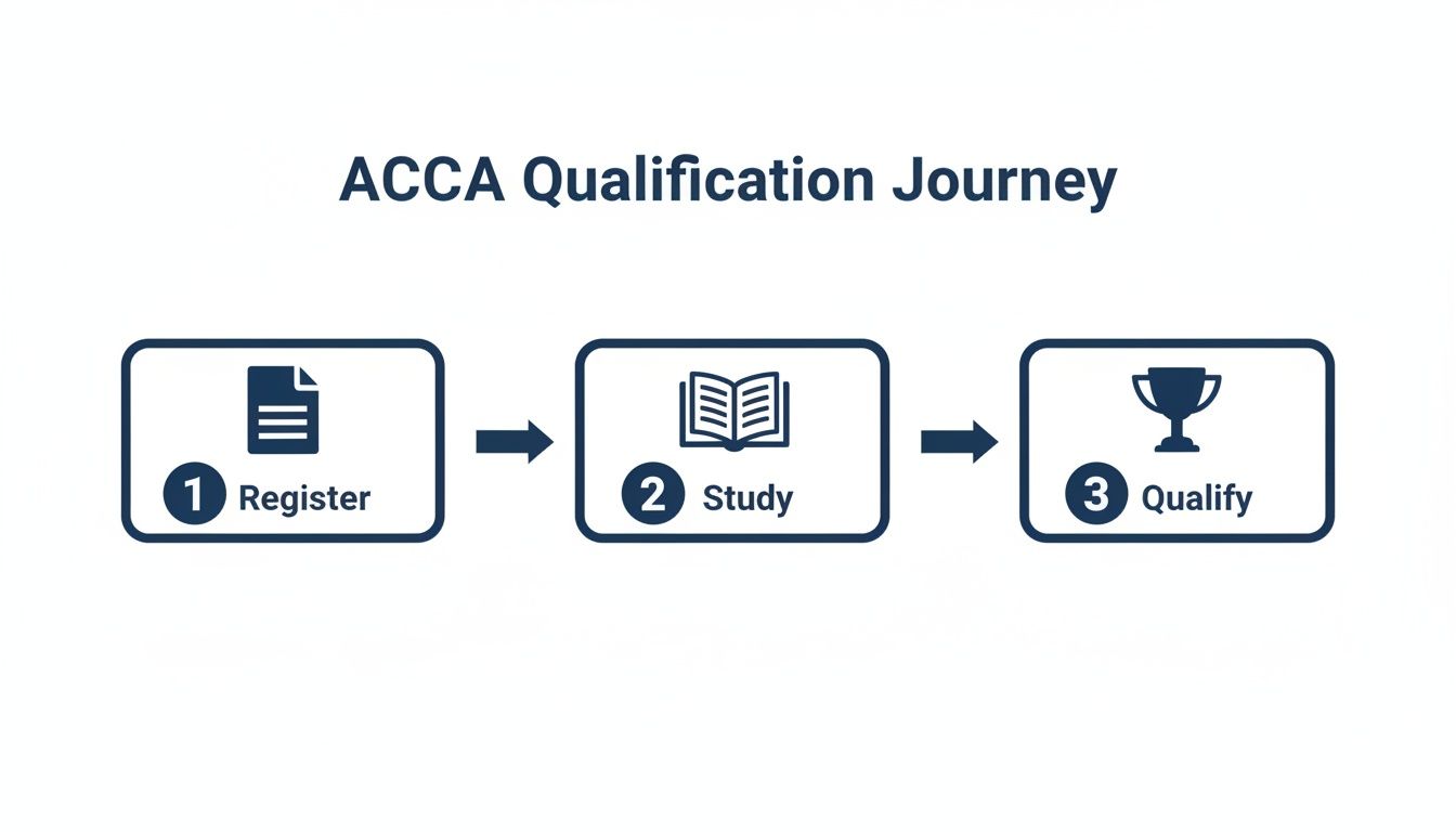 A three-step ACCA qualification journey: Register, Study, and Qualify, illustrated with icons and arrows.