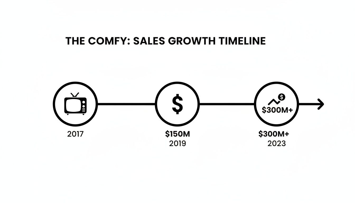 A timeline depicting The Comfy's sales growth from 2017 (Shark Tank) to over $300M by 2023.