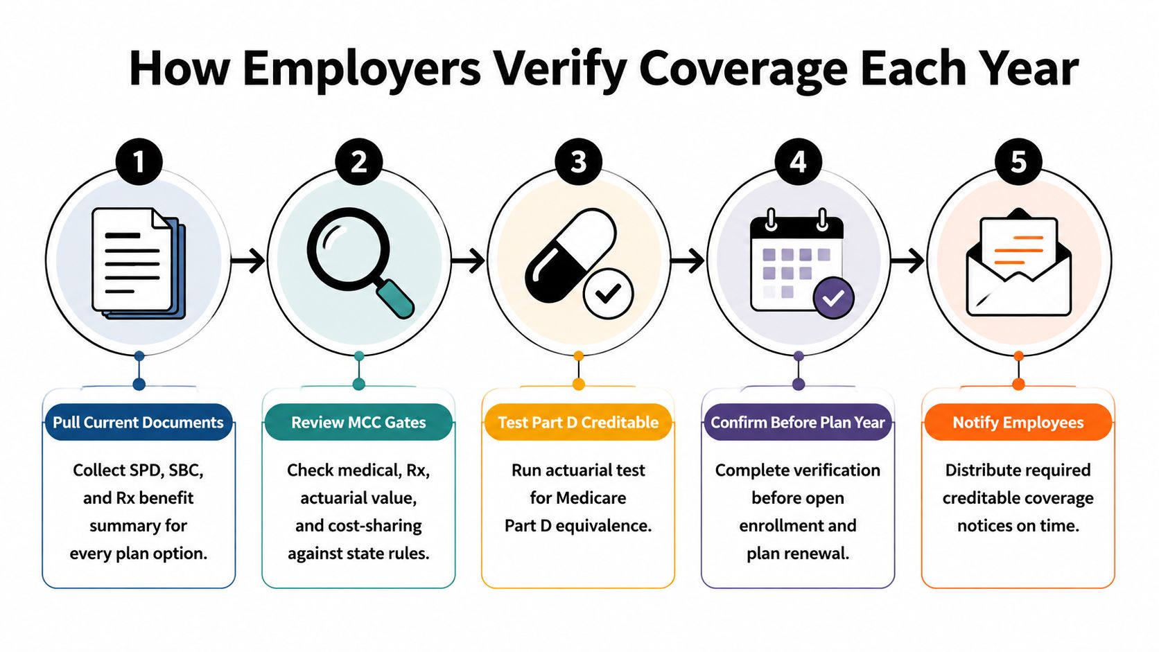 A five-step infographic showing how employers verify minimum creditable coverage and compliance each year.
