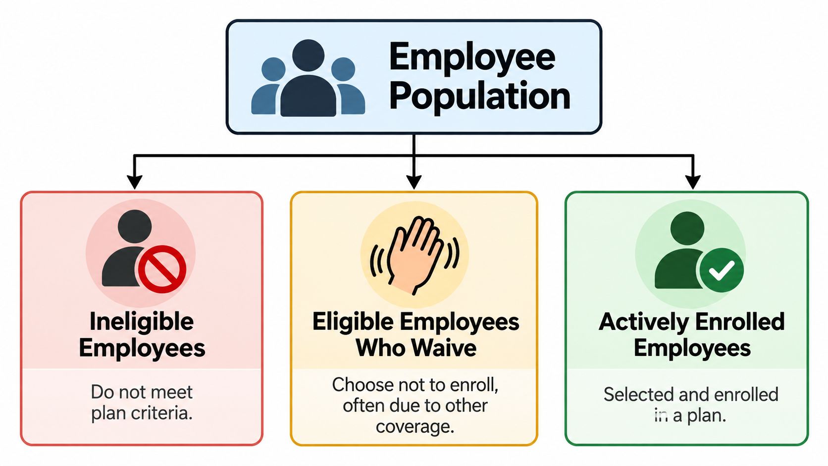 A flowchart categorizing the employee population into ineligible, eligible who waive, and actively enrolled employees.