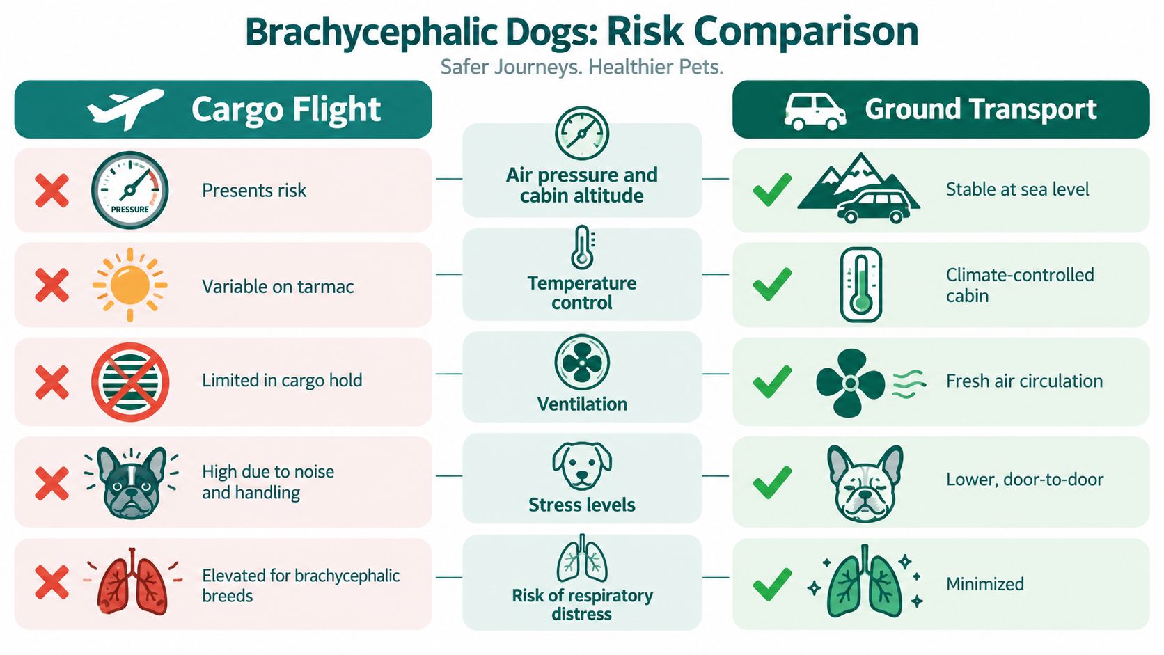 A comparison chart showing risks of air cargo versus ground transport for brachycephalic dog breeds.