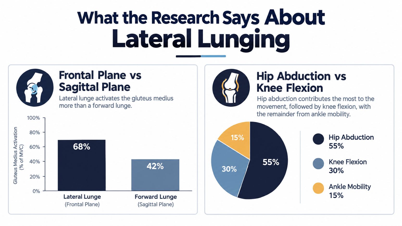 A chart showing lateral lunges increase gluteus medius activation and hip abduction contribution compared to forward lunges.