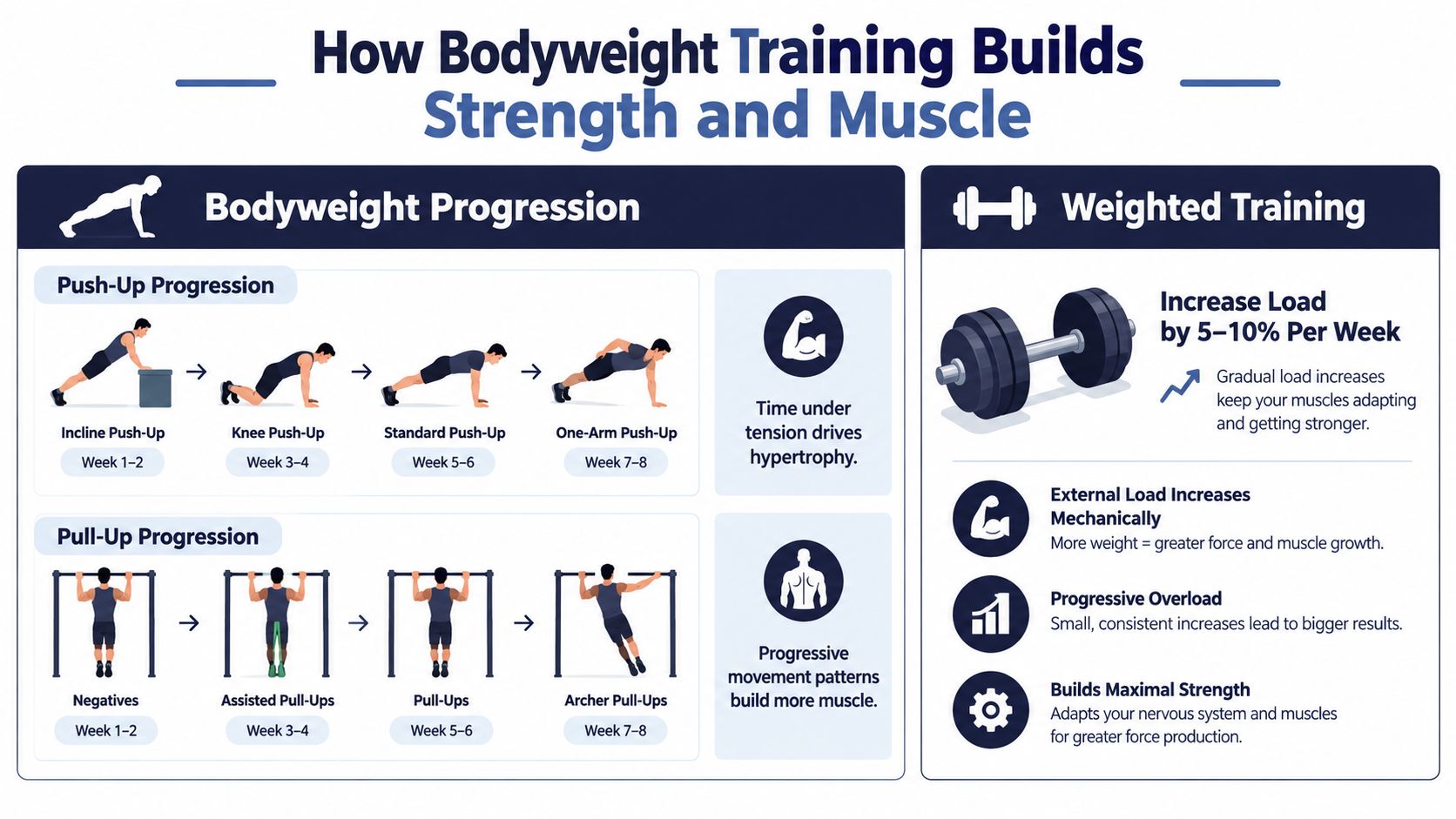 An infographic detailing progression exercises for bodyweight training versus weighted training for building strength and muscle.
