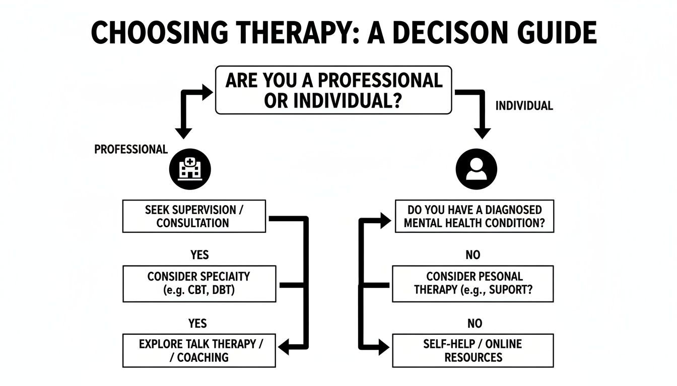 A flowchart decision guide outlining therapy options for both professionals and individuals based on needs.