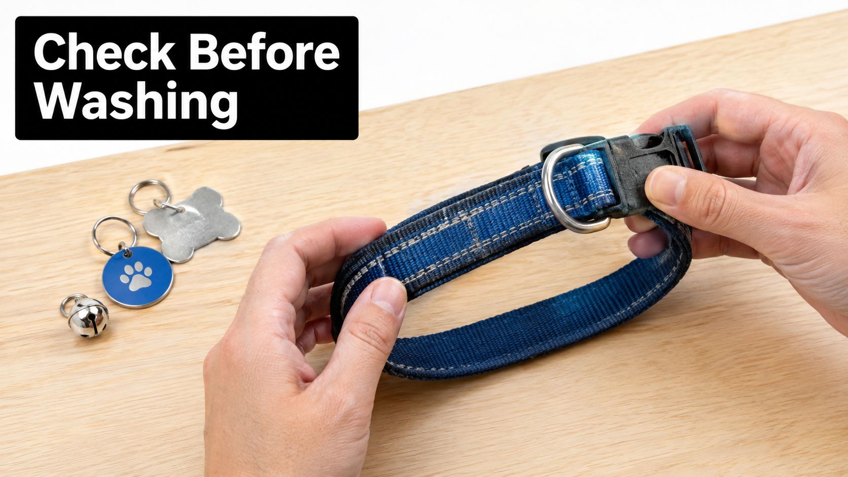 A pair of hands preparing a blue dog collar for cleaning by removing the pet tags.