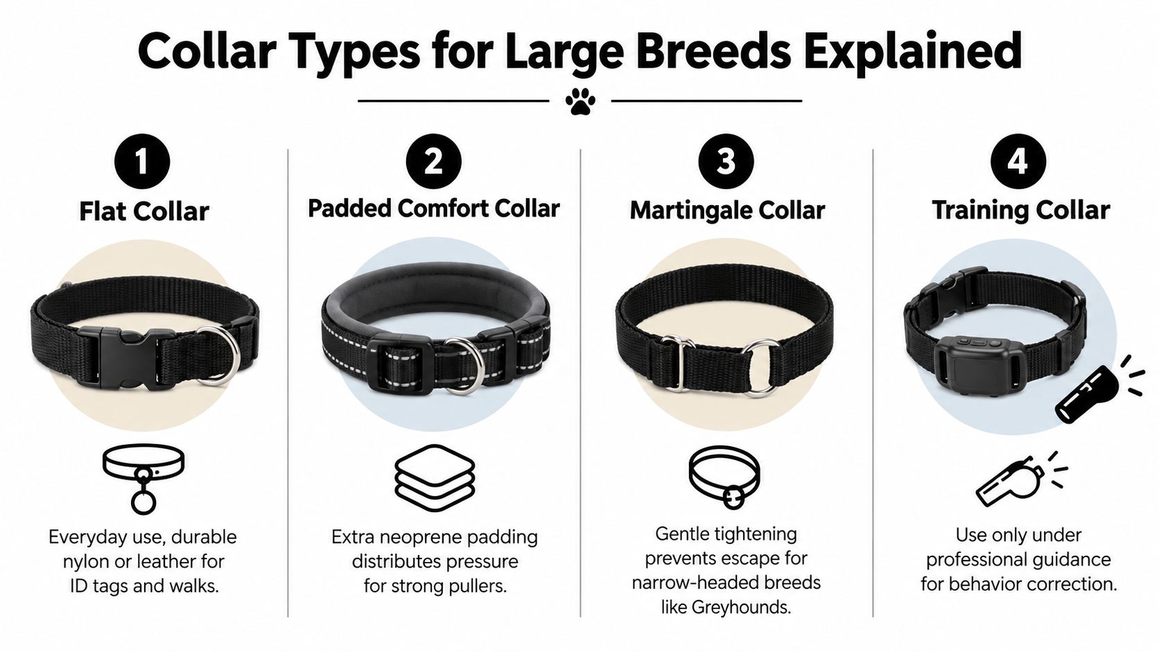 An infographic showing four common types of collars for large breed dogs with brief descriptive explanations.