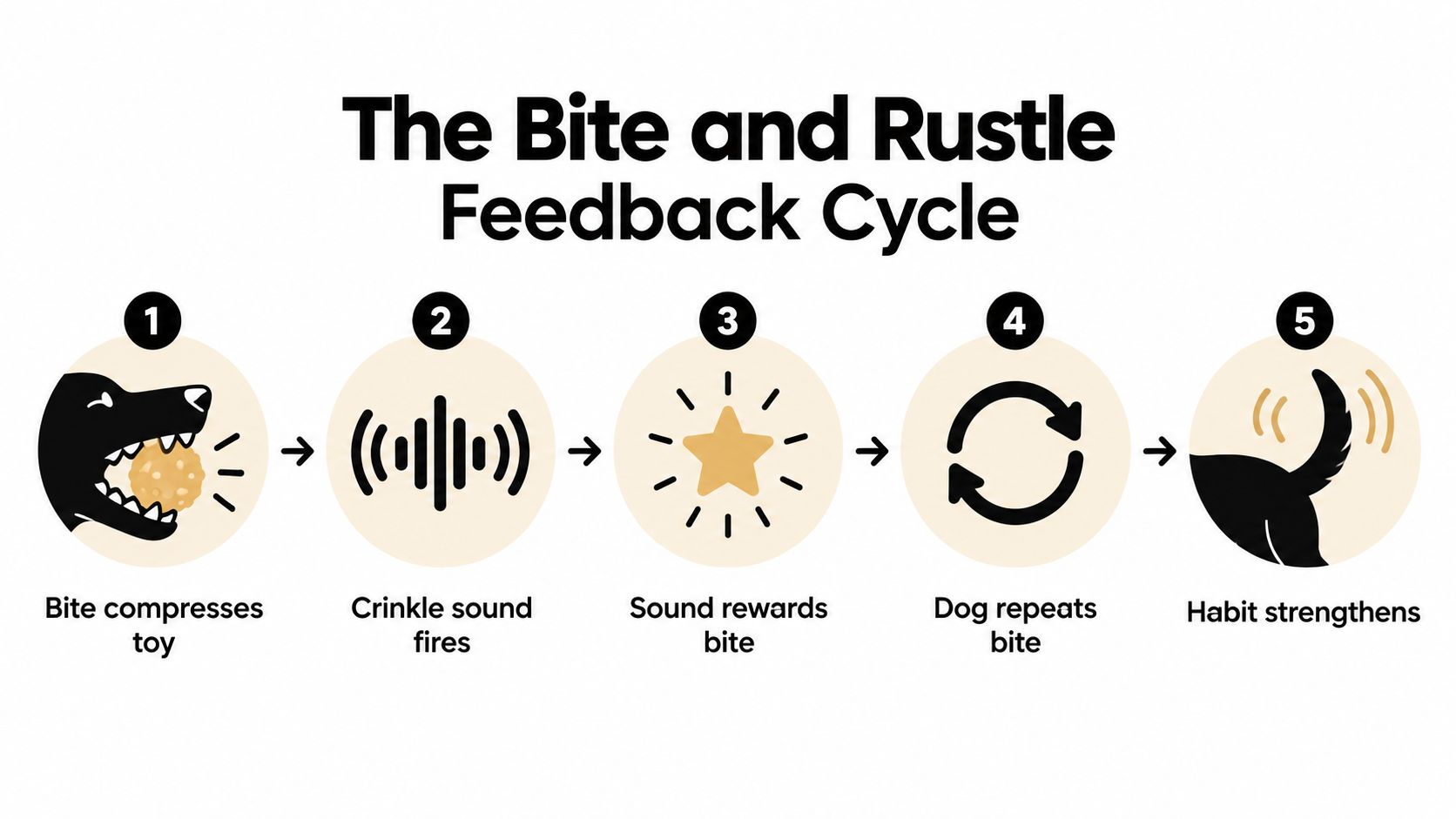 An infographic showing the five-step feedback cycle of a dog interacting with a crinkle toy.