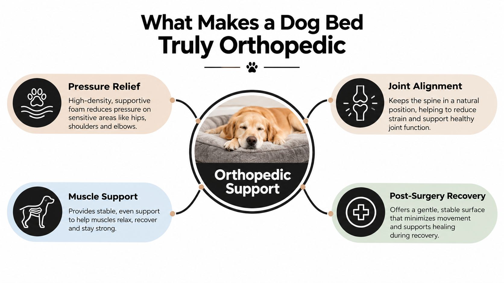 An infographic illustrating four key benefits of using an orthopedic dog bed for pet health.