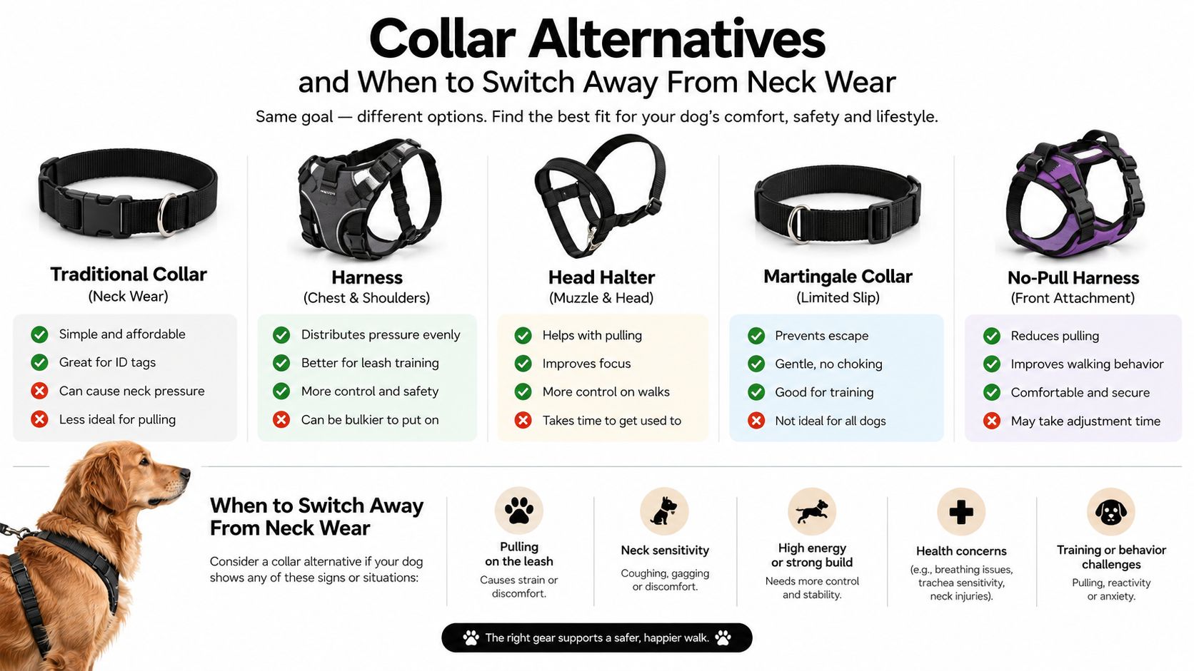 An infographic comparing various dog collars and harnesses with advice on when to choose alternatives.