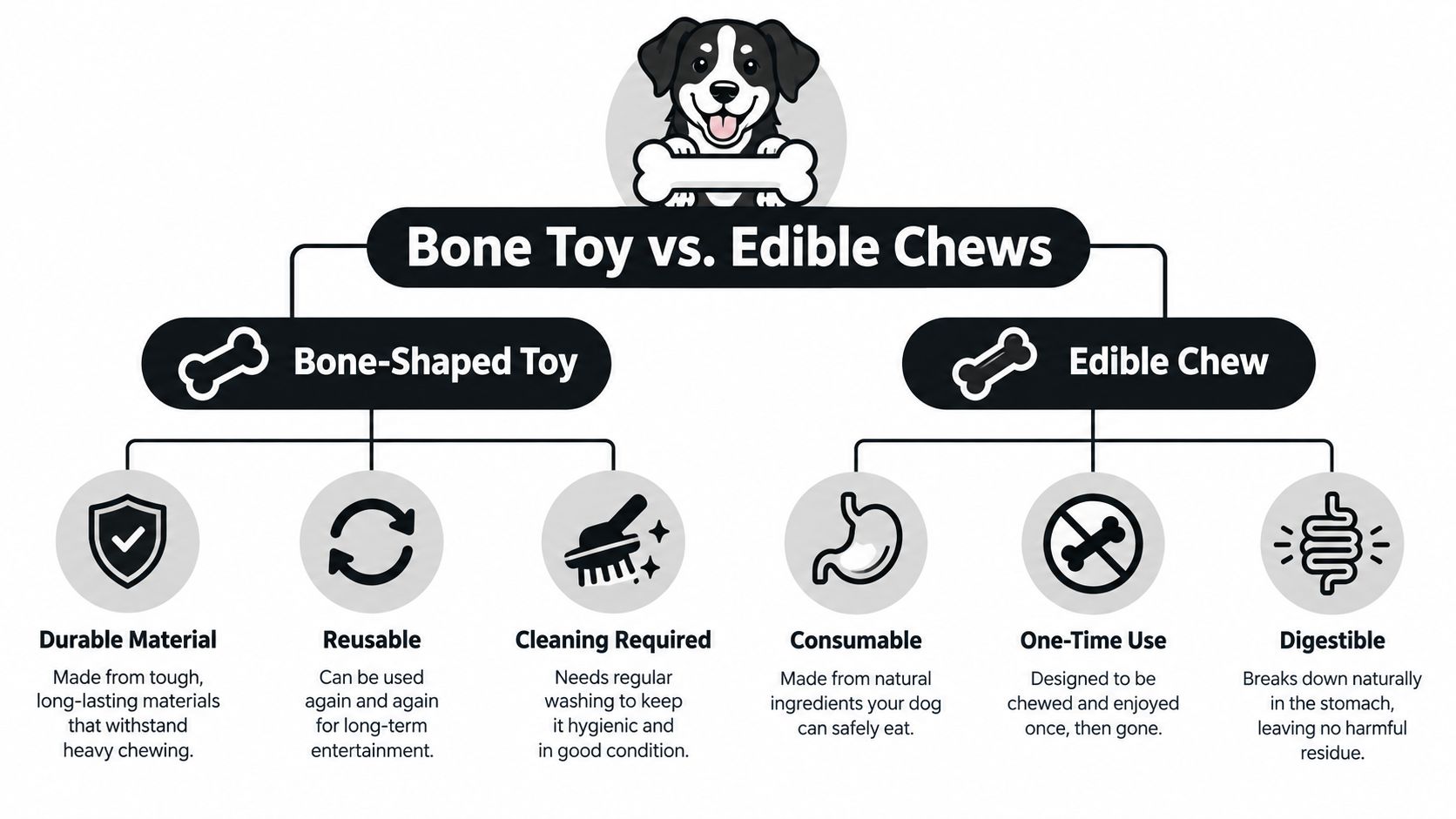 A comparison chart showing the differences between durable bone shaped dog toys and consumable edible chews.