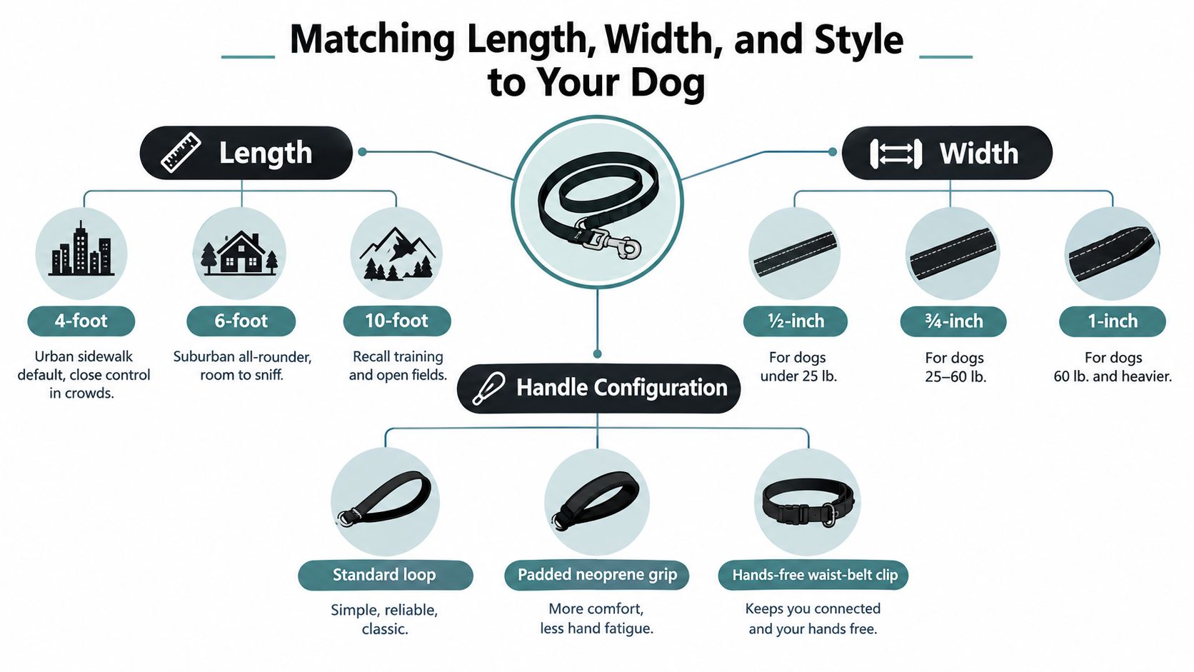 An infographic showing how to select the best leash length, width, and handle style for your dog.