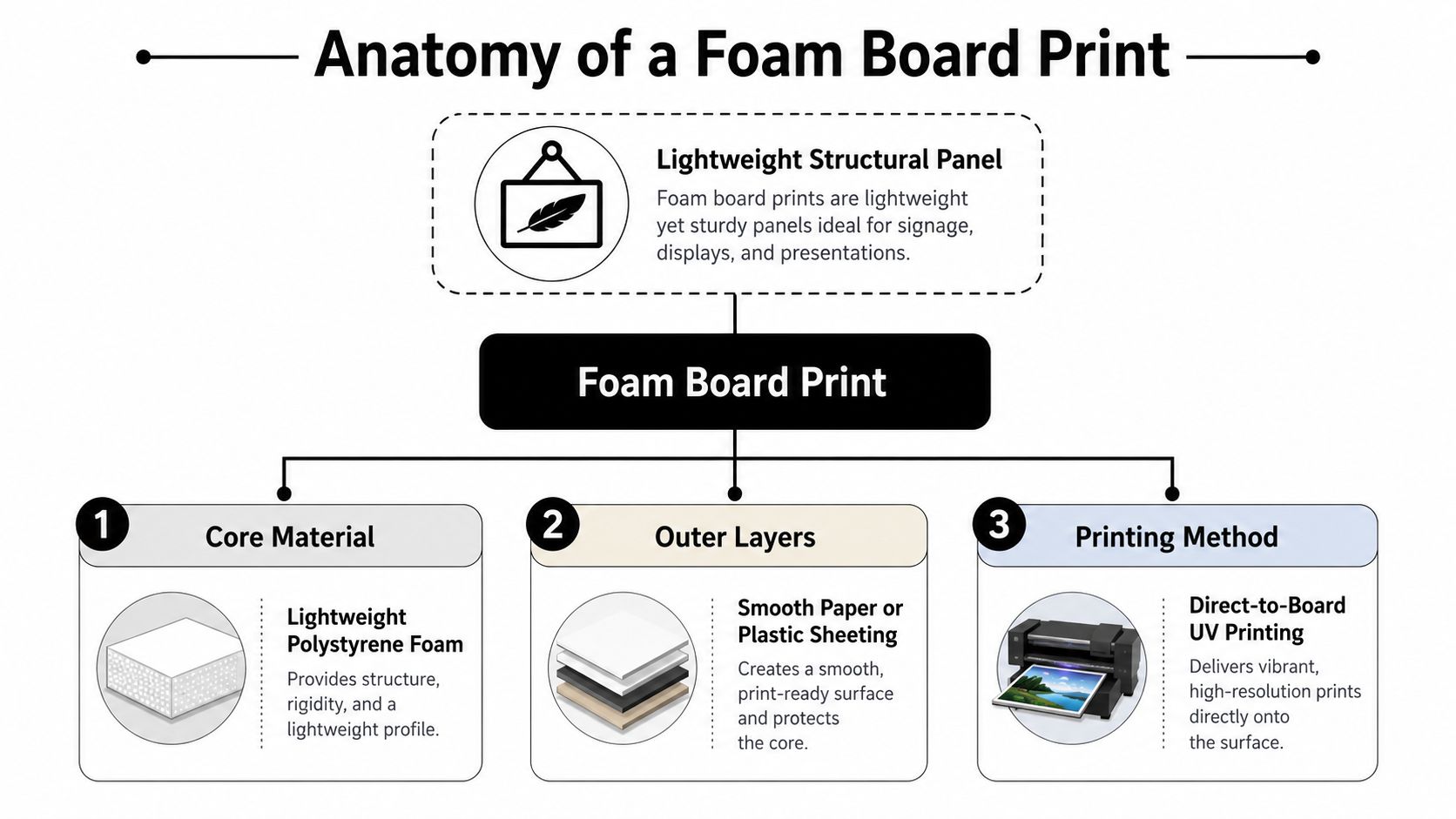 An infographic titled Anatomy of a Foam Board Print explaining its core material, outer layers, and printing method.