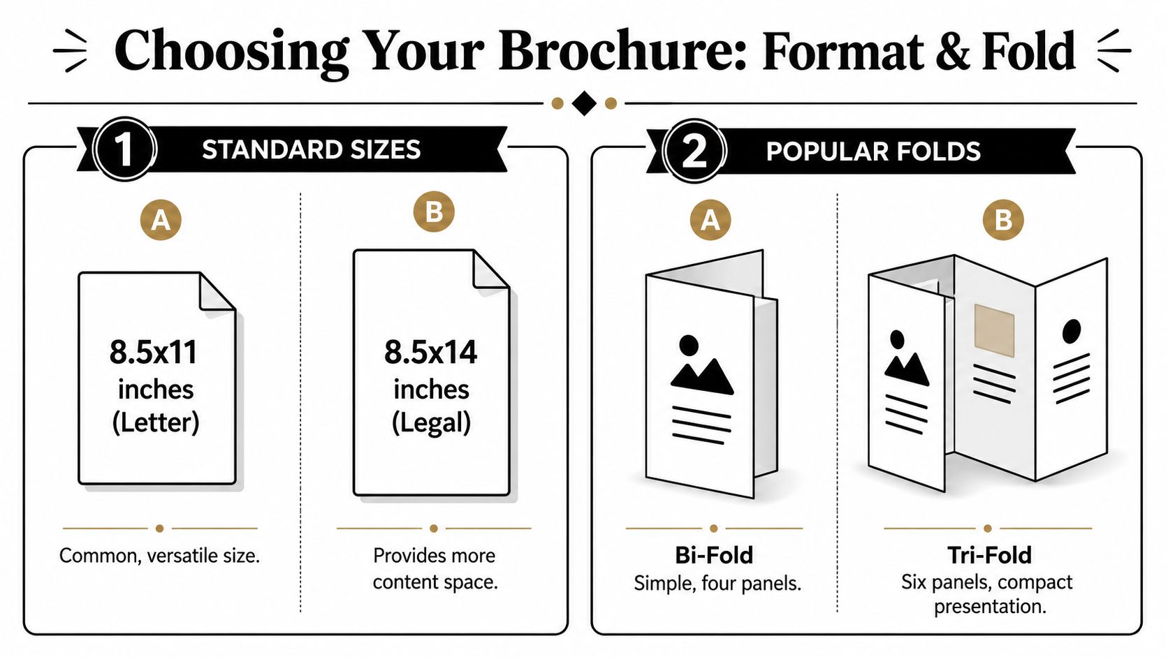 An infographic showing standard brochure paper sizes and popular folding styles for professional printing projects.