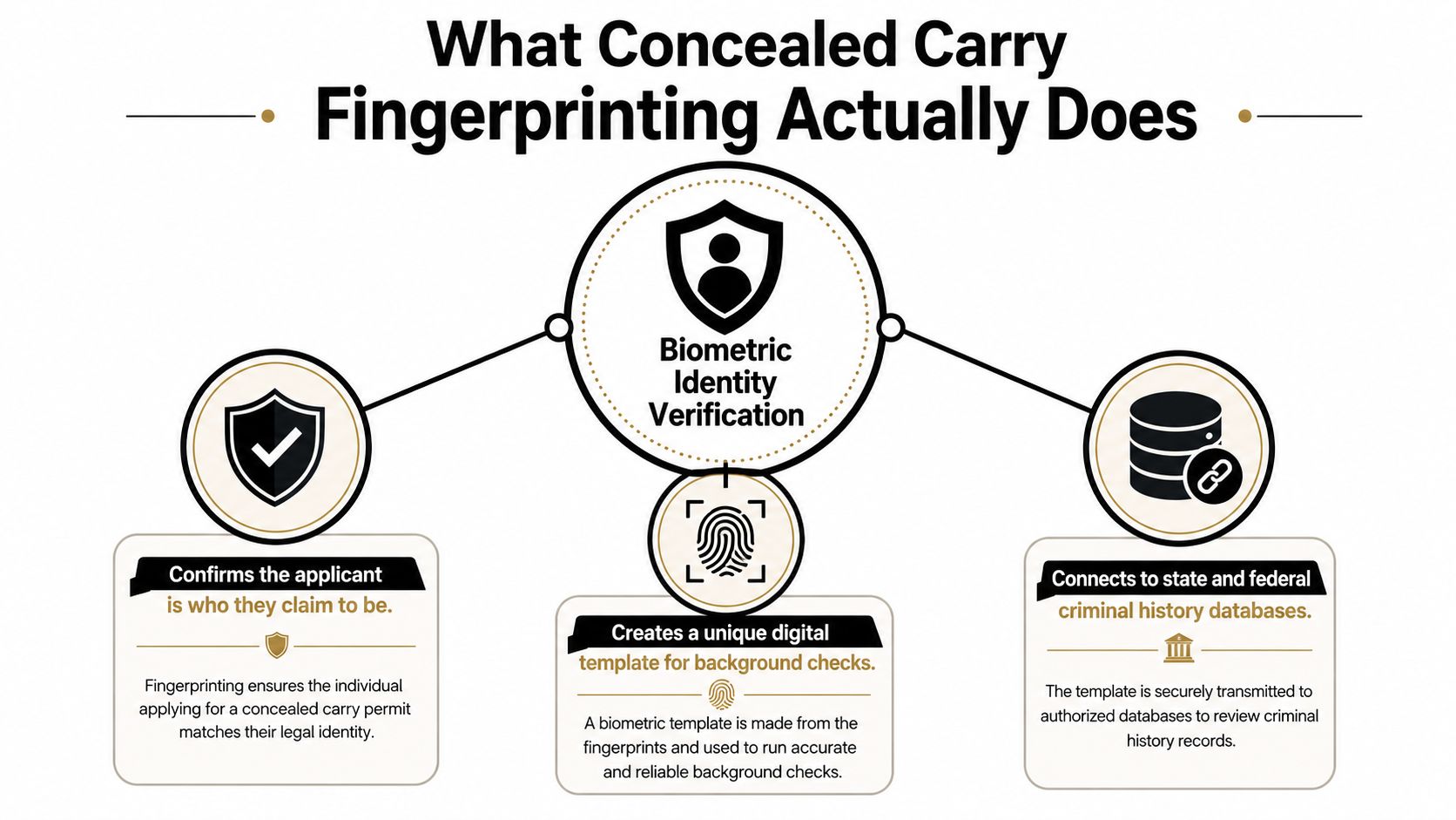 An infographic titled What Concealed Carry Fingerprinting Actually Does, explaining identity verification, digital background check templates, and database connections.