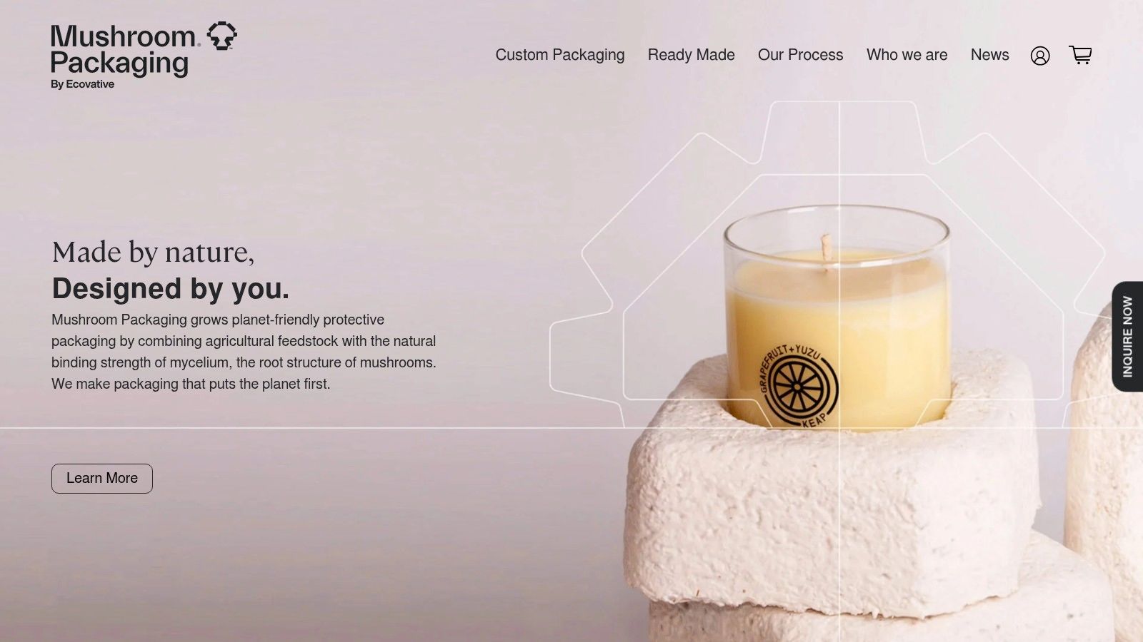 Mushroom Packaging (Ecovative) – Custom Molded Mycelium Cushioning