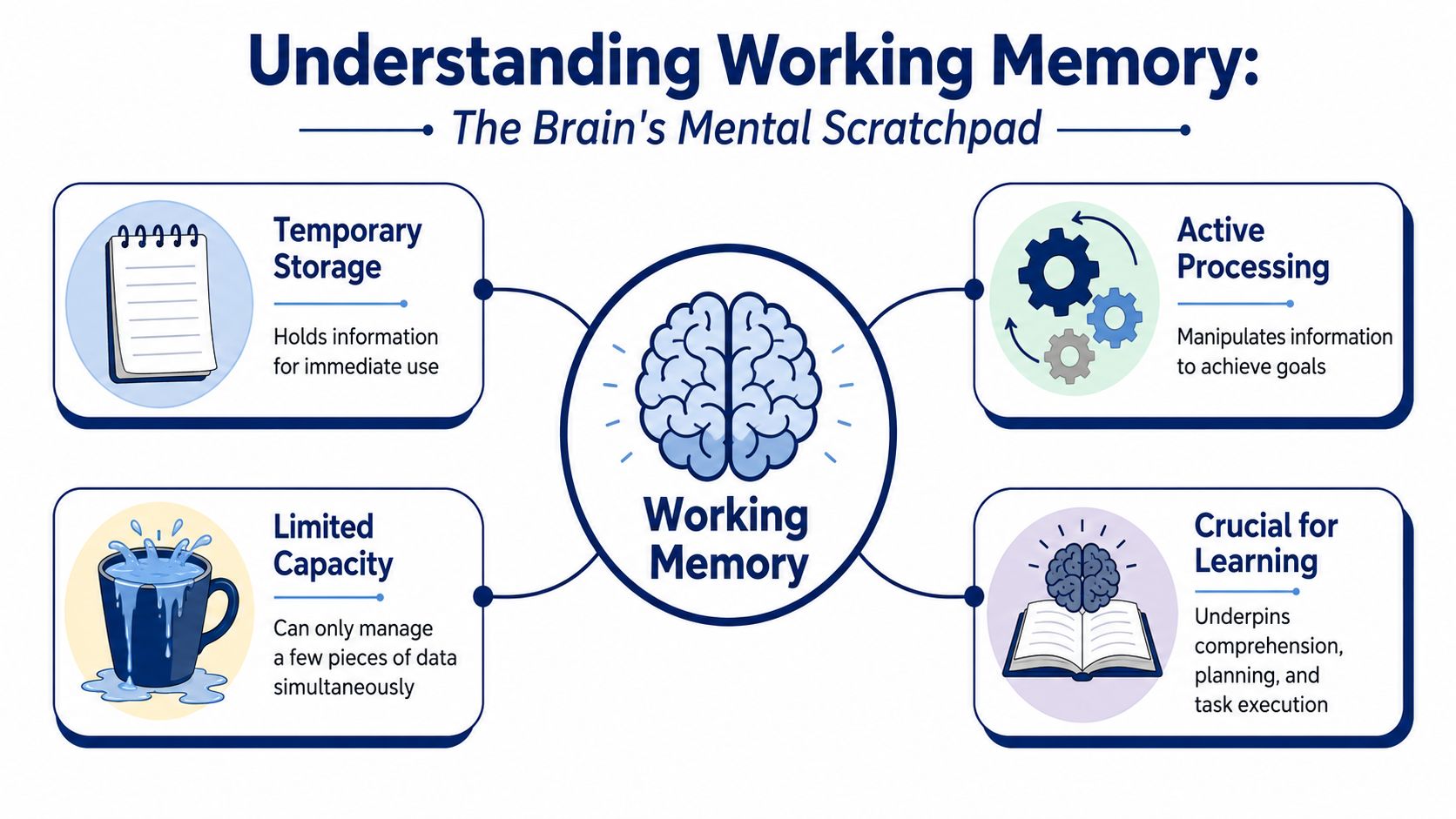 A diagram explaining working memory as the brain's mental scratchpad, highlighting storage, processing, capacity, and learning.