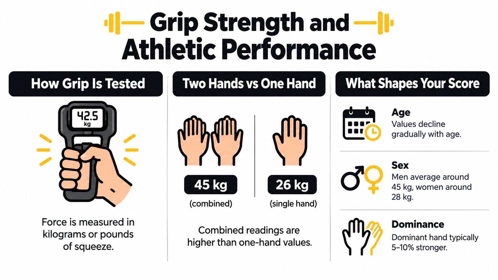 An infographic showing how grip strength is tested, how to interpret scores, and what factors influence strength.