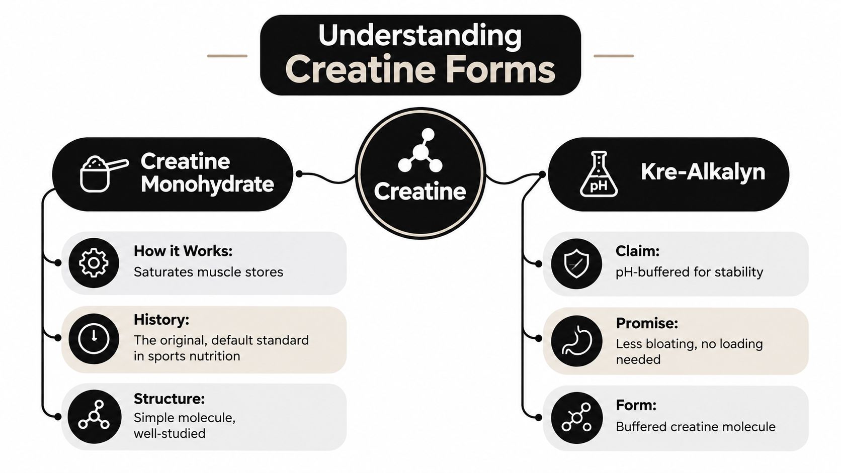 A comparison infographic between creatine monohydrate and Kre-Alkalyn, detailing their functions, history, and structural differences.