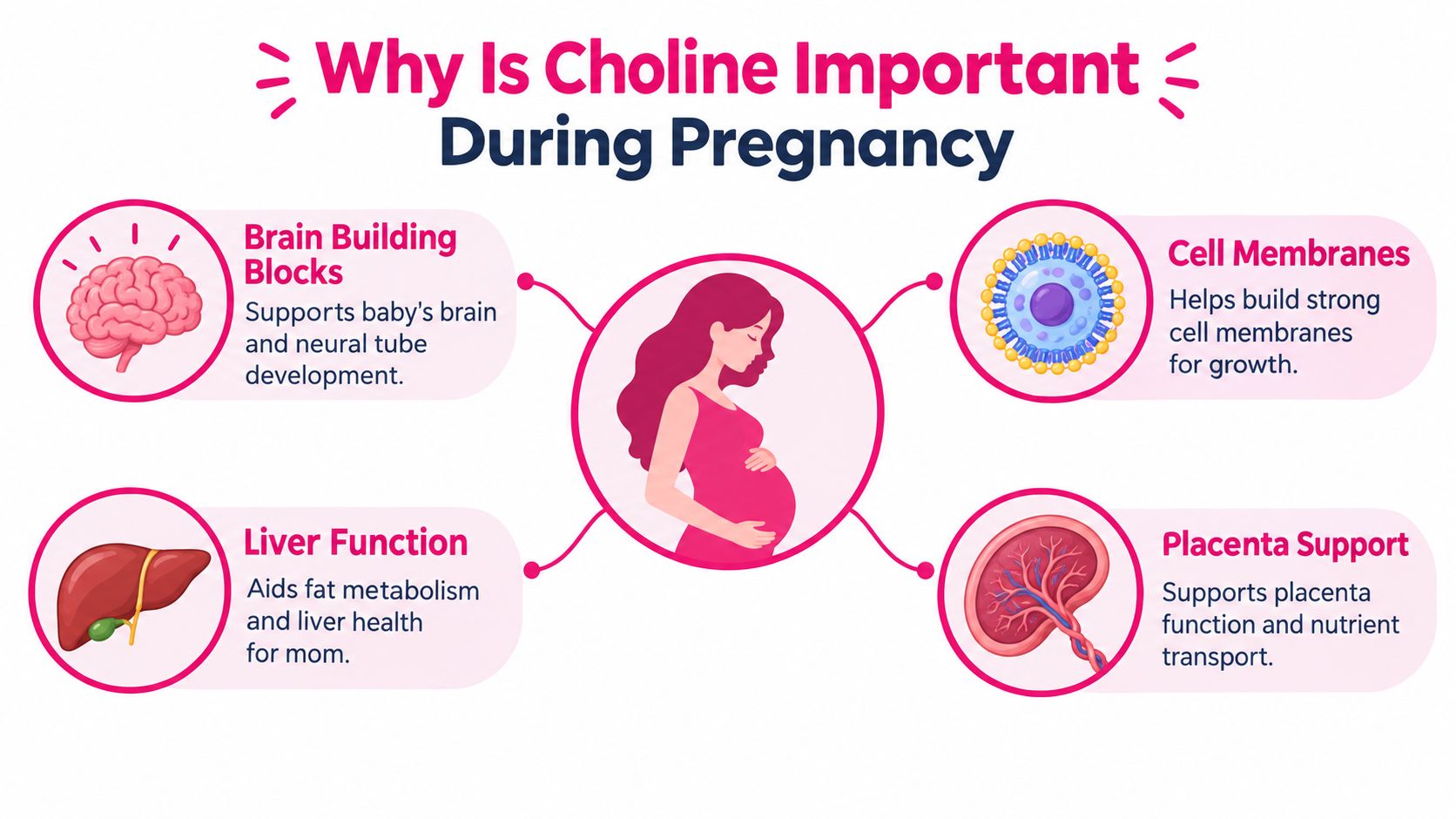 An infographic explaining the vital importance of choline for fetal development and maternal health during pregnancy.