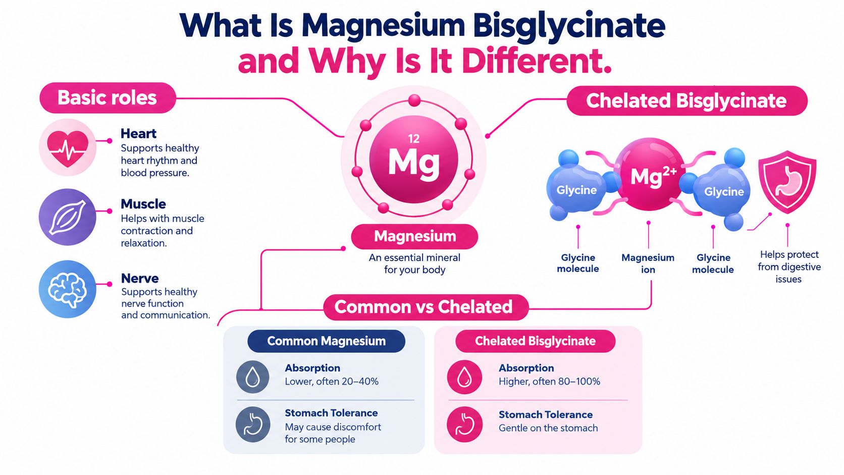 An infographic detailing the health benefits, structure, and superior absorption rates of magnesium bisglycinate supplements.