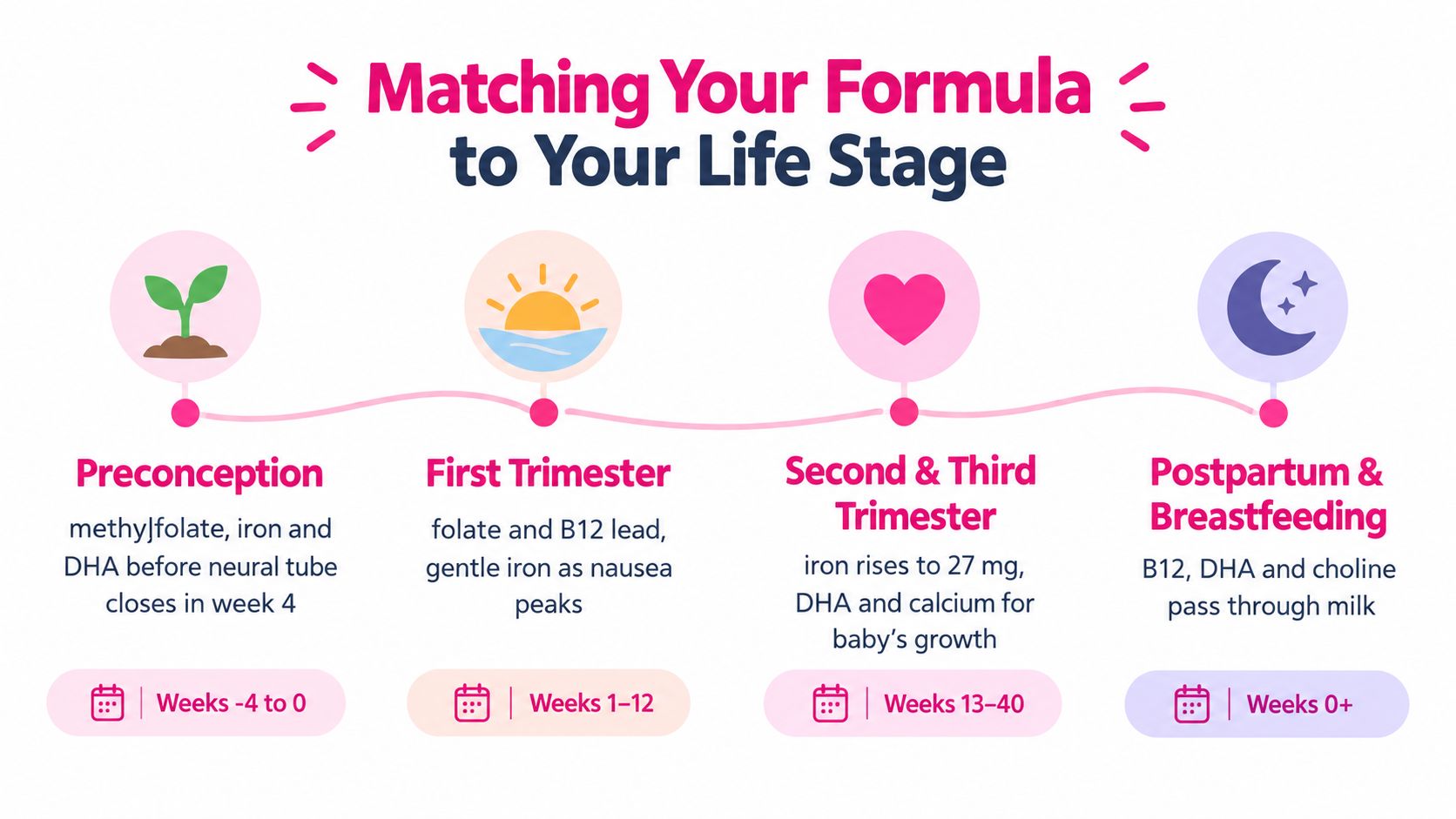 A timeline graphic showing nutritional needs across four stages of pregnancy from preconception to postpartum breastfeeding.