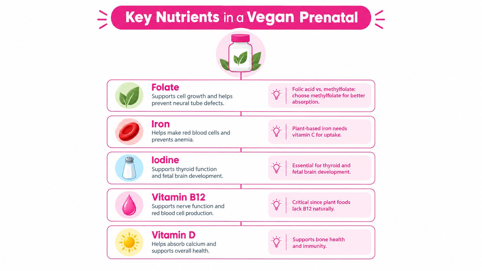 A visual guide outlining the five essential nutrients found in a vegan prenatal vitamin supplement.