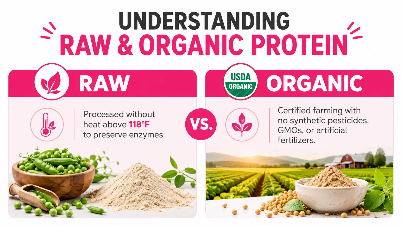 A graphic comparing raw protein processed below 118 degrees with organic protein grown without synthetic chemicals.