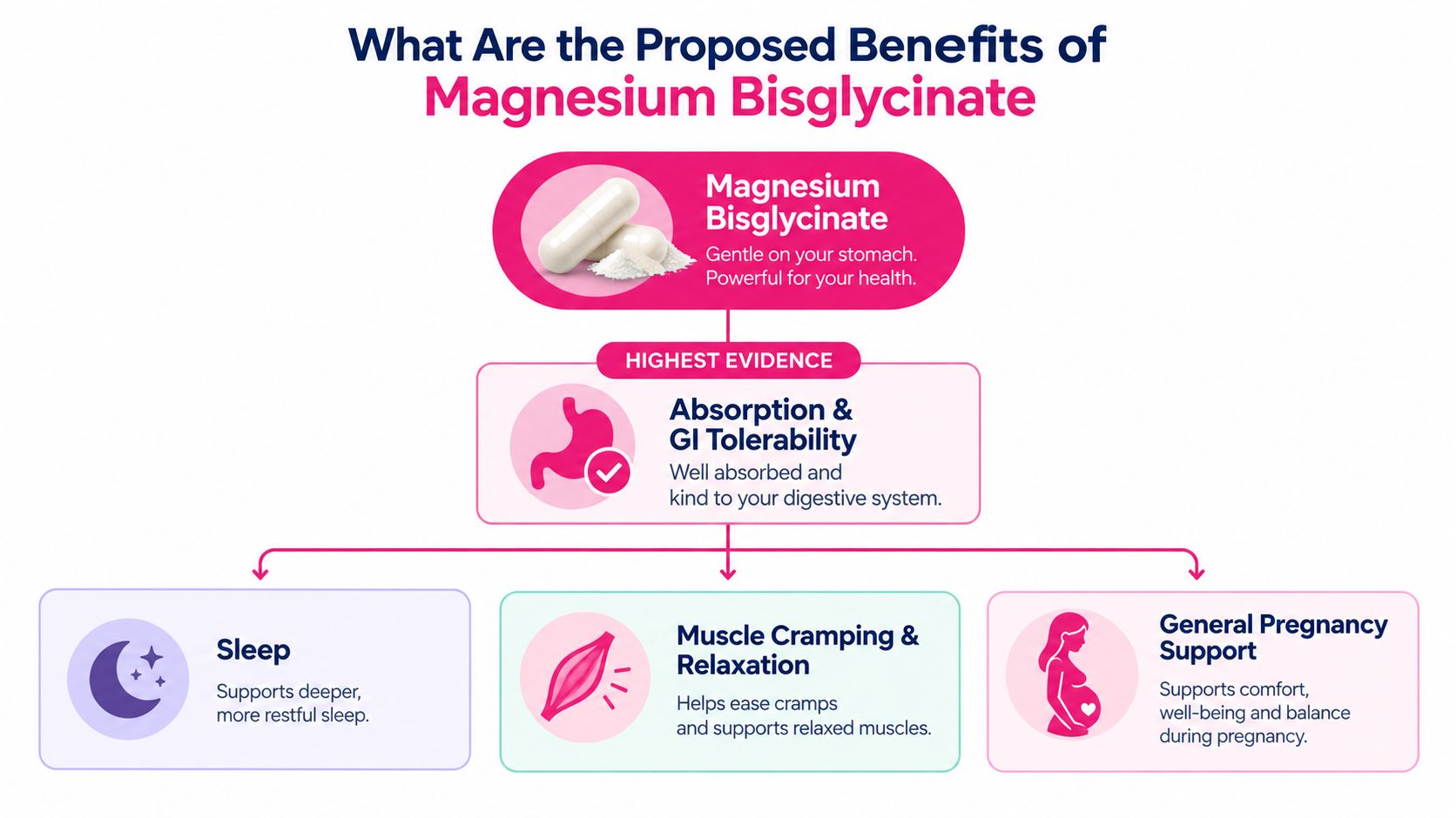 An infographic detailing the proposed health benefits of magnesium bisglycinate, including sleep support and pregnancy aid.