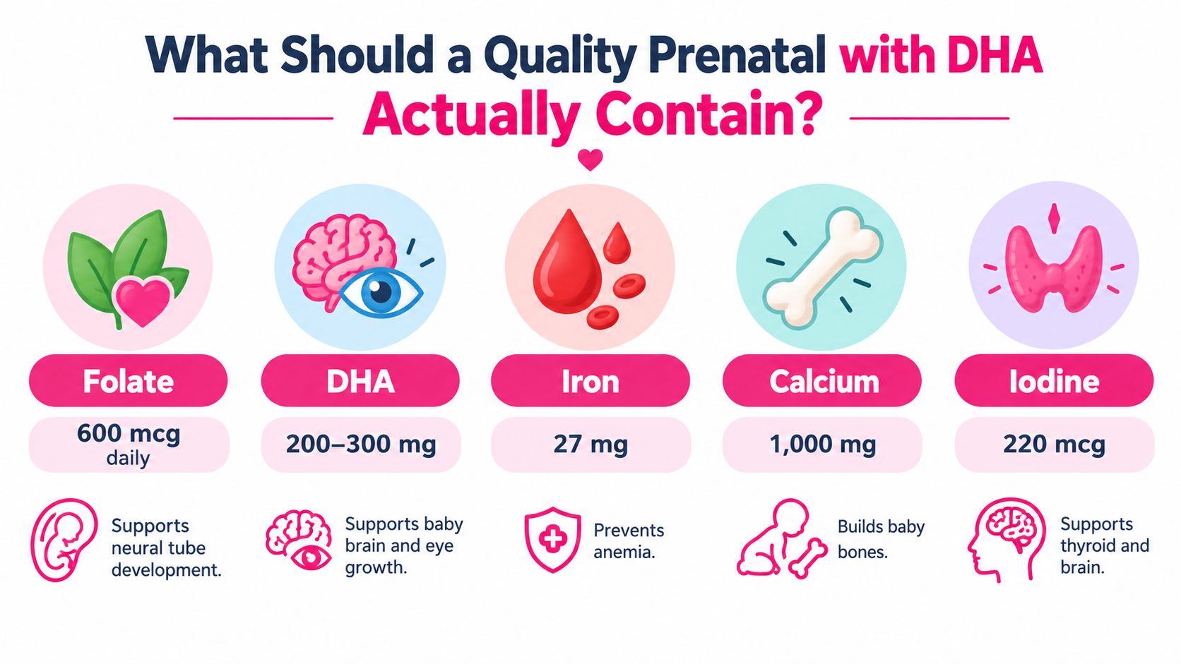 An infographic detailing essential nutrients for a quality prenatal vitamin, including folate, DHA, iron, calcium, and iodine.