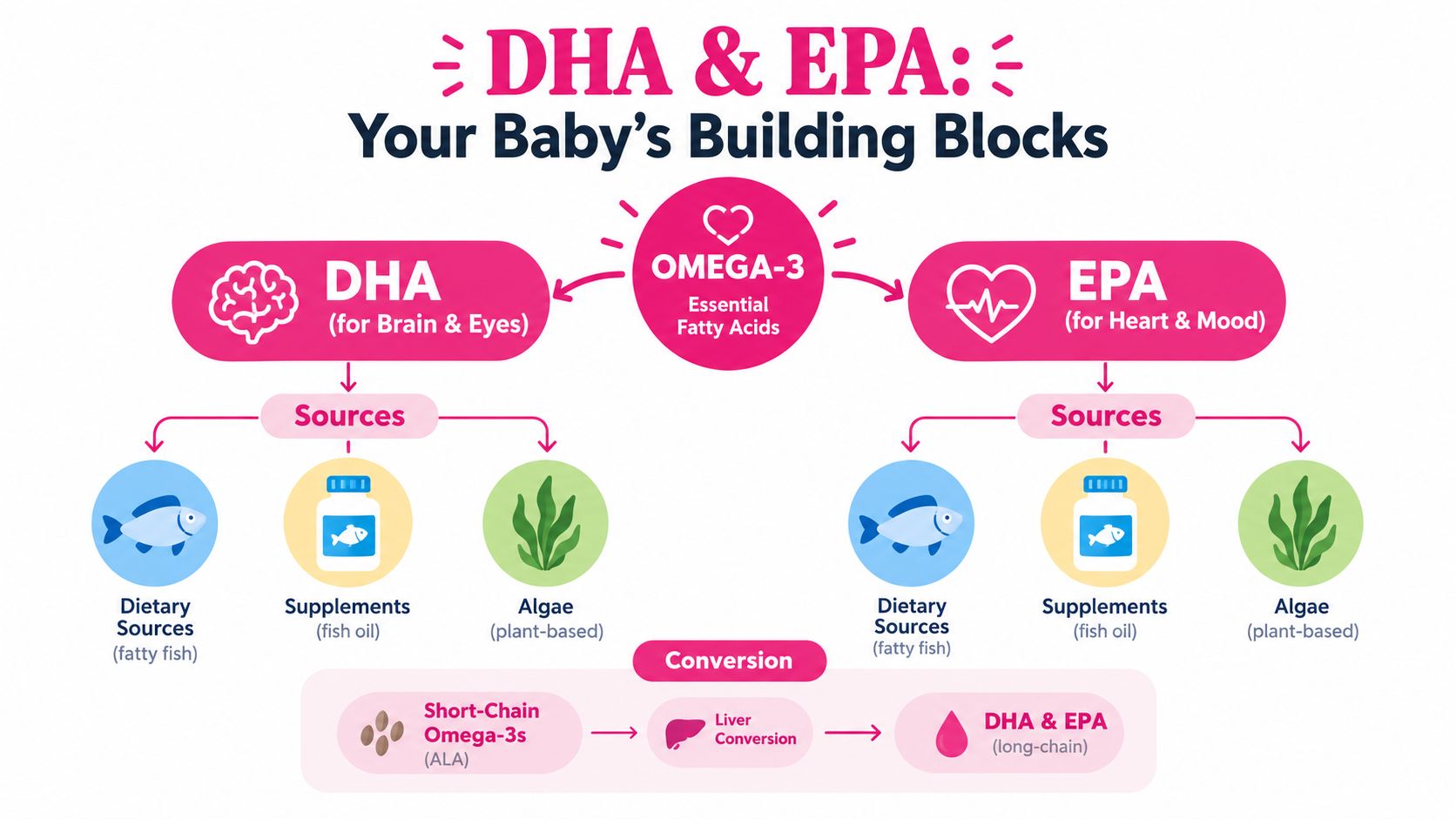 A diagram explaining DHA and EPA omega-3 essential fatty acids for babies, including sources and conversion.