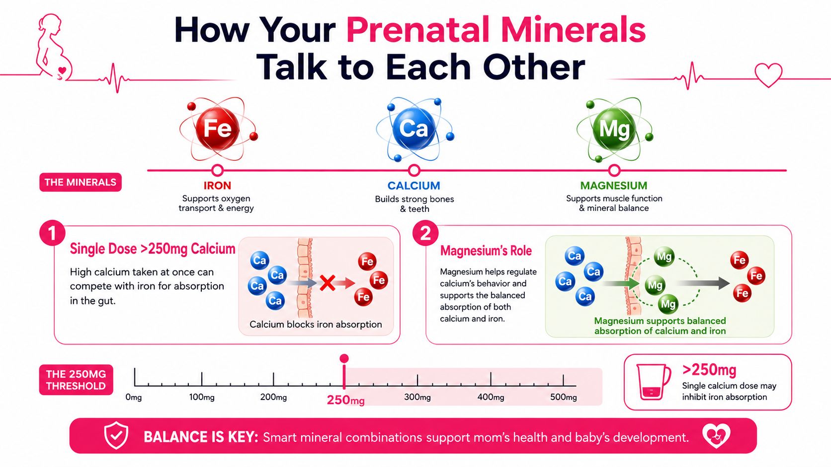 An infographic explaining how prenatal minerals like calcium, iron, and magnesium interact during pregnancy.