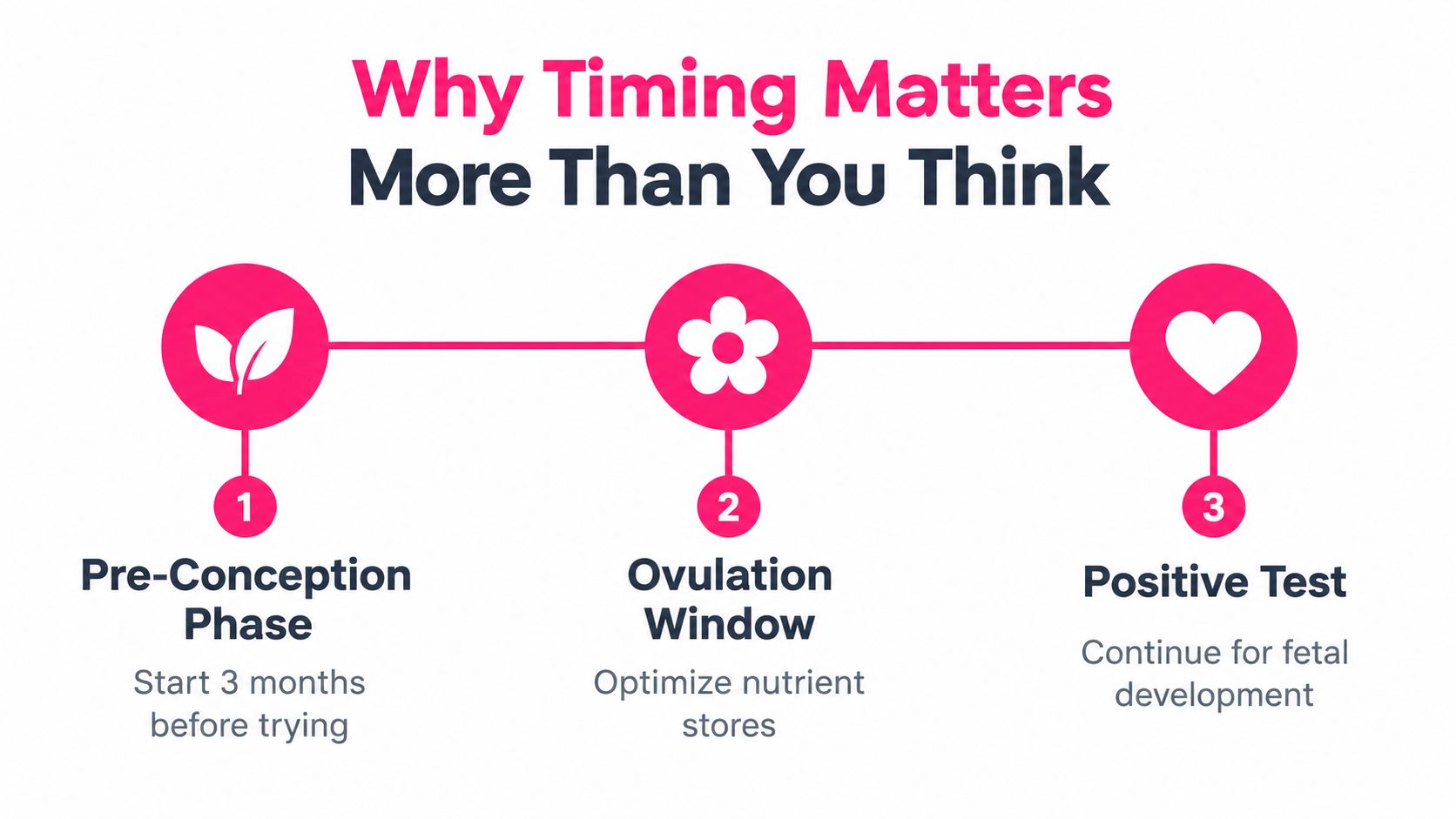 A three-step infographic titled Why Timing Matters explaining pre-conception, ovulation window, and positive test phases.