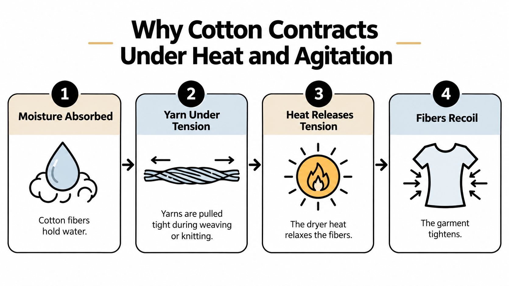 An infographic showing four steps explaining why cotton fabric shrinks when exposed to heat and agitation.