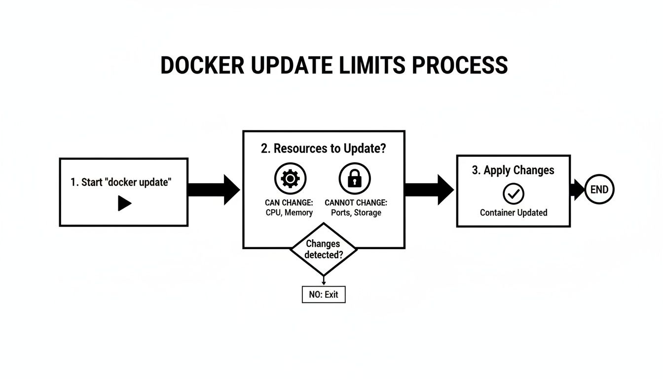 A Developer's Guide to the Docker Update Container Command